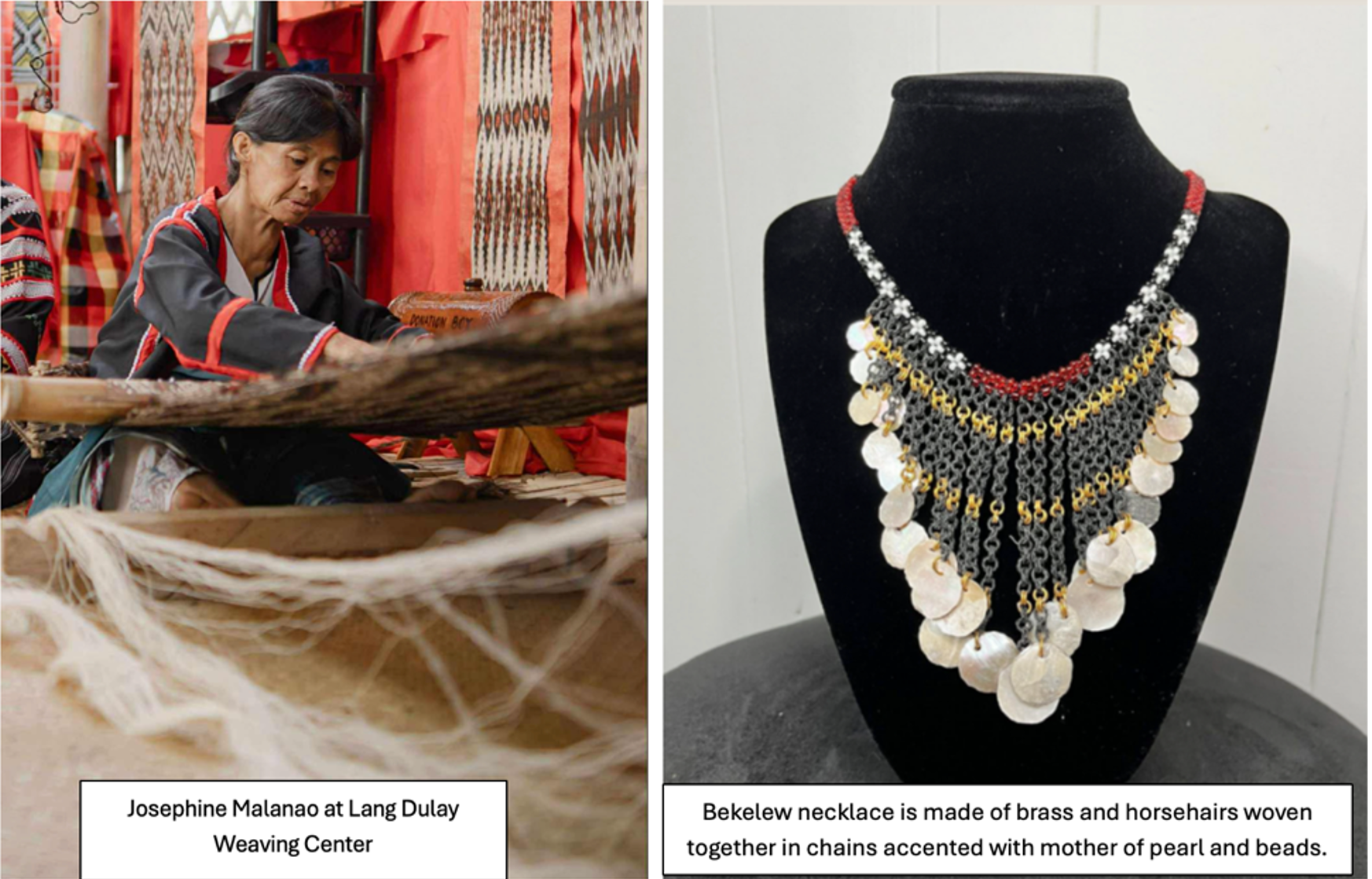 A SUSTAINABLE LIVELIHOOD IS ALL THEY ASK campaign photo, 5 of 7