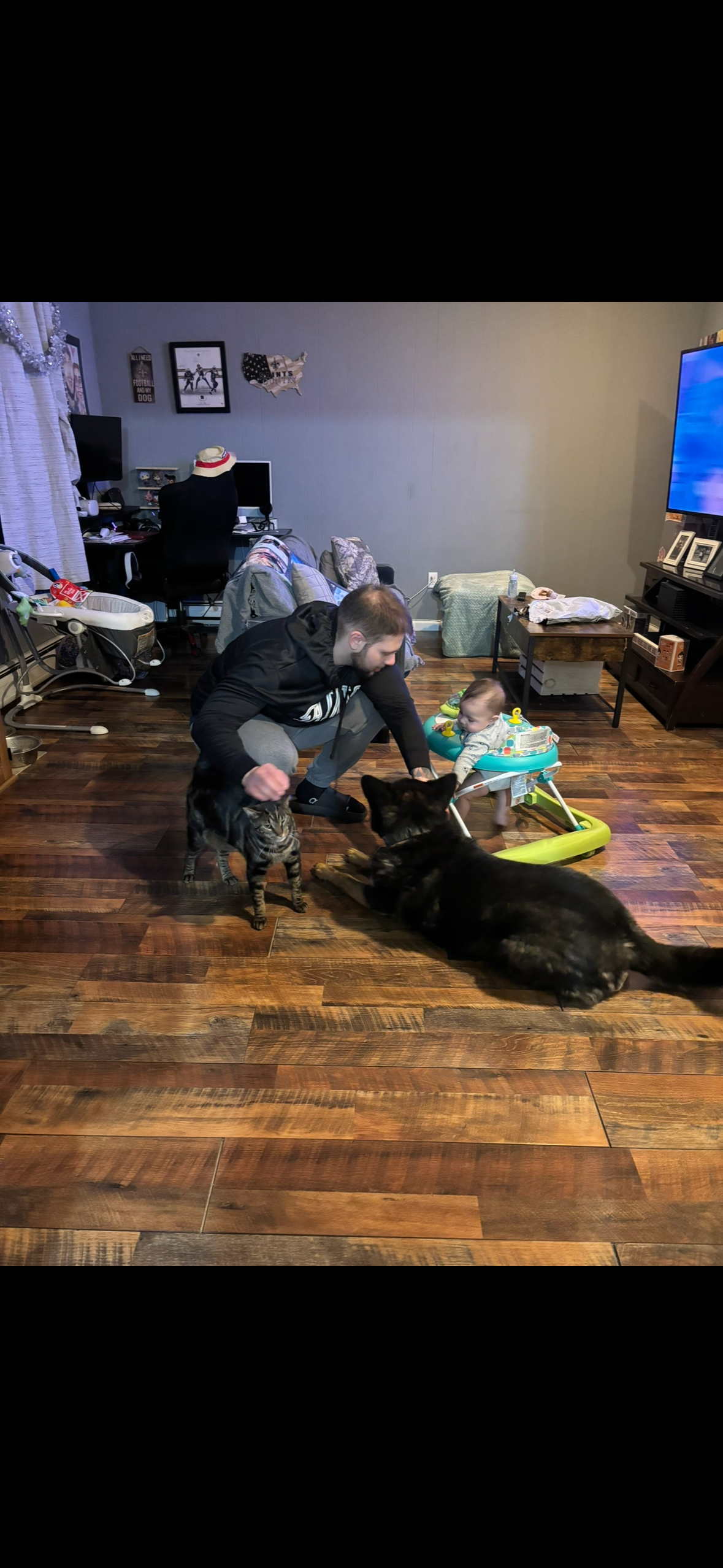 Sam's Emergency Vet Fund Needs You campaign photo, 2 of 8
