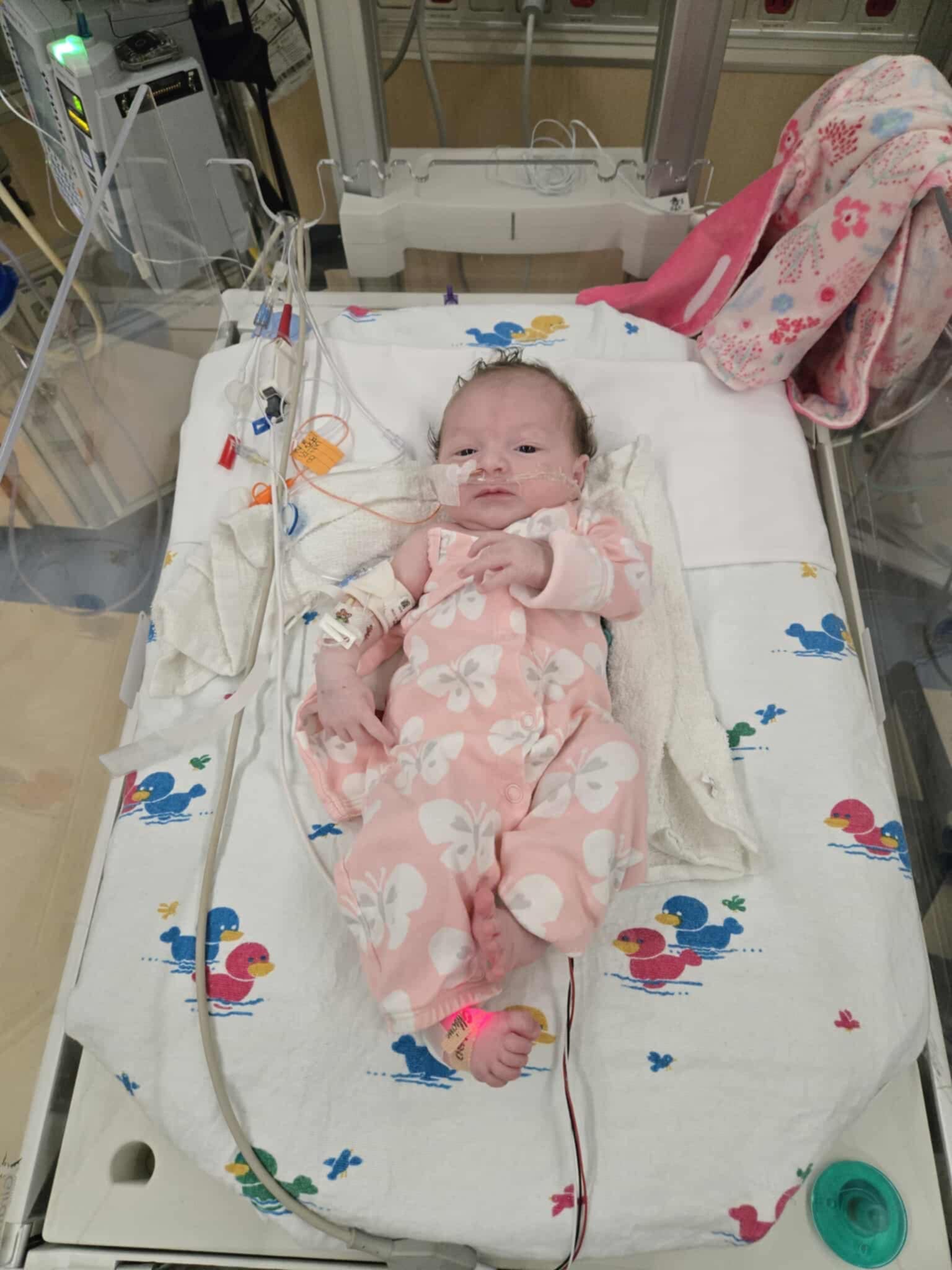 Baby Lyra's NICU and Recovery Fund campaign photo, 7 of 8