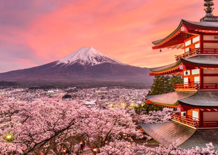Jeff to Japan 2026 campaign photo, 7 of 7