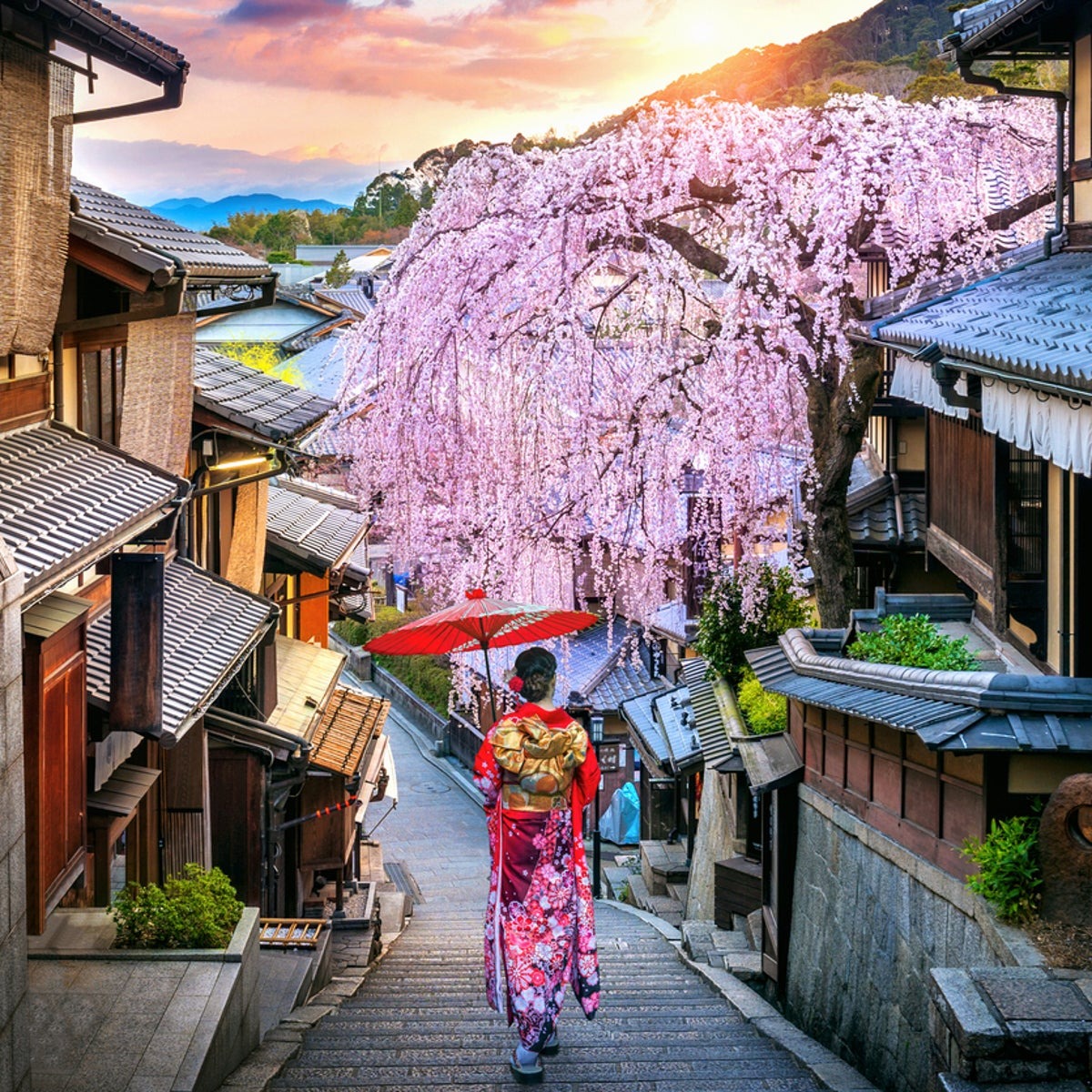 Jeff to Japan 2026 campaign photo, 2 of 7