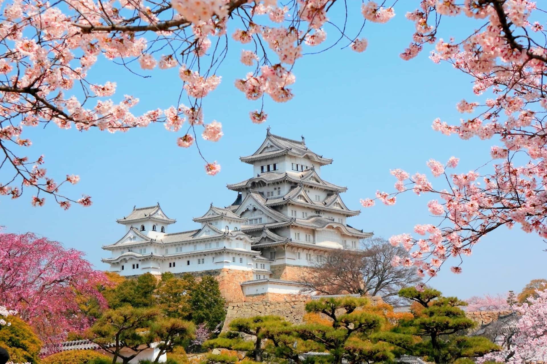 Jeff to Japan 2026 campaign photo, 6 of 7
