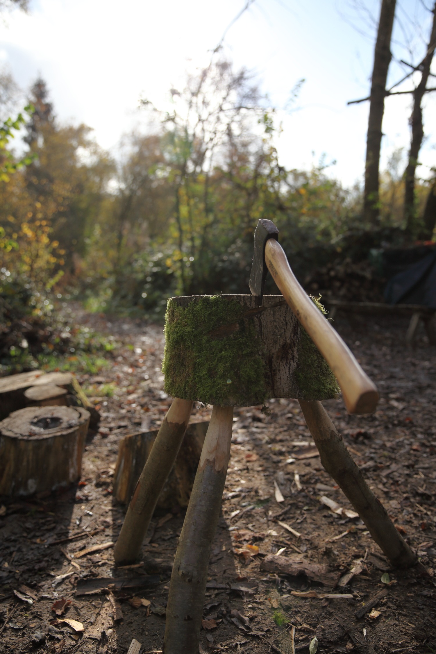 Wild Times is moving! But only to the woods next door ... campaign photo, 2 of 8