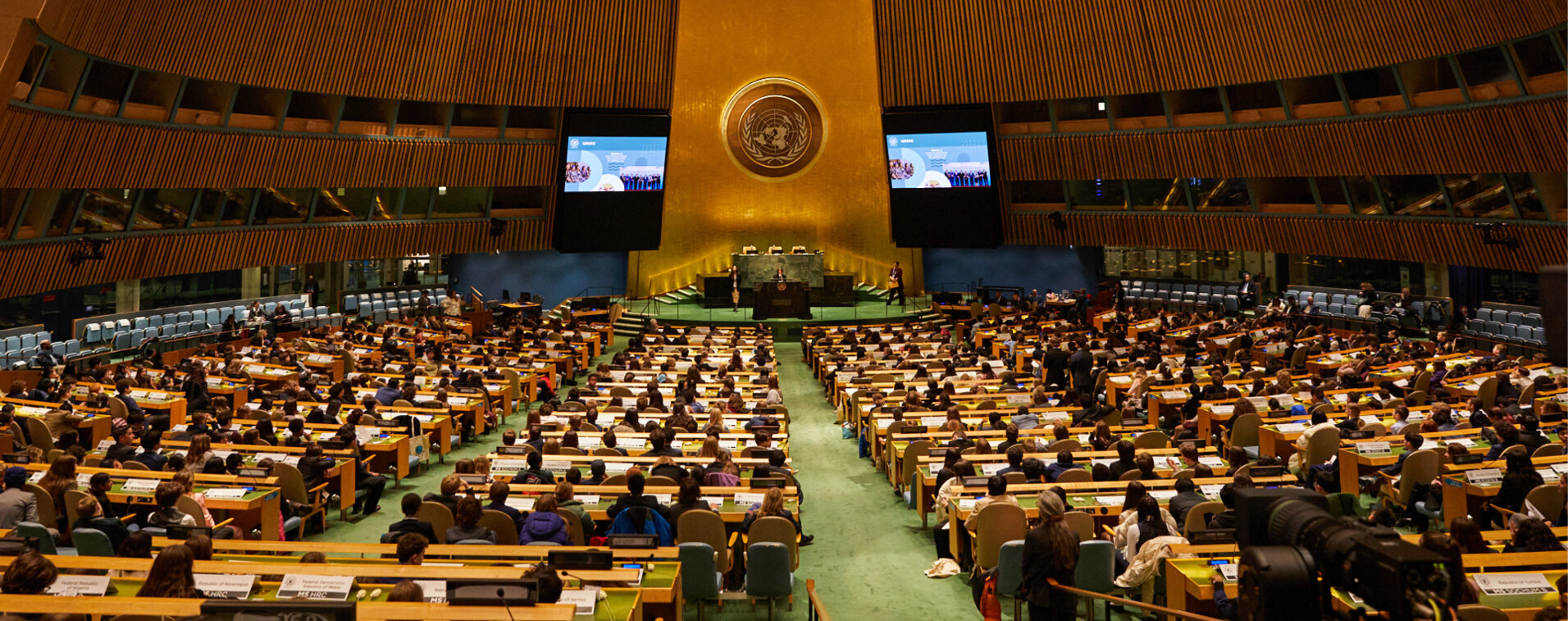 Support Vienne & Anthem's Model UN Journey campaign photo, 5 of 6