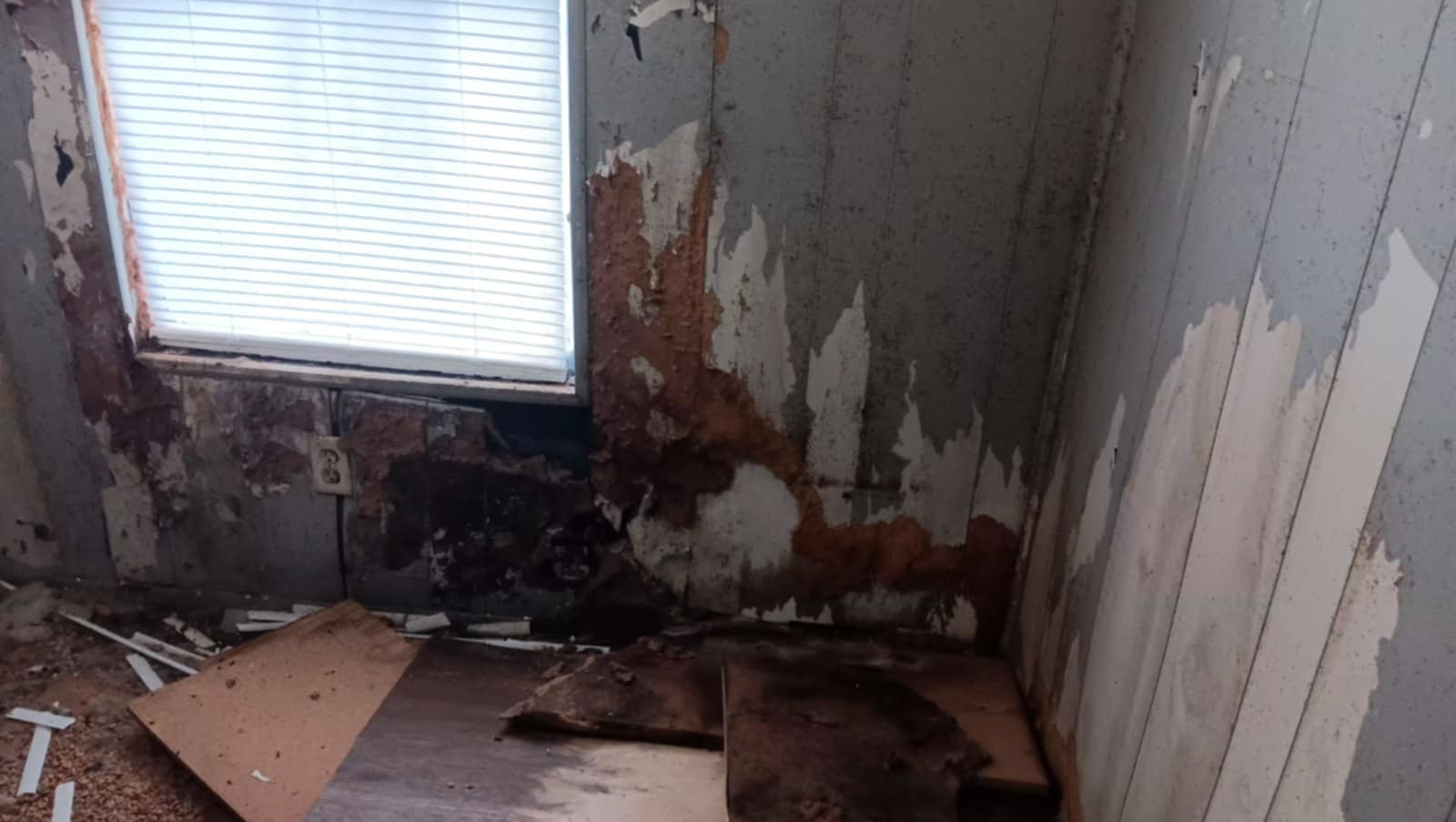 Support David Billings' Health and Mobility pinned link photo