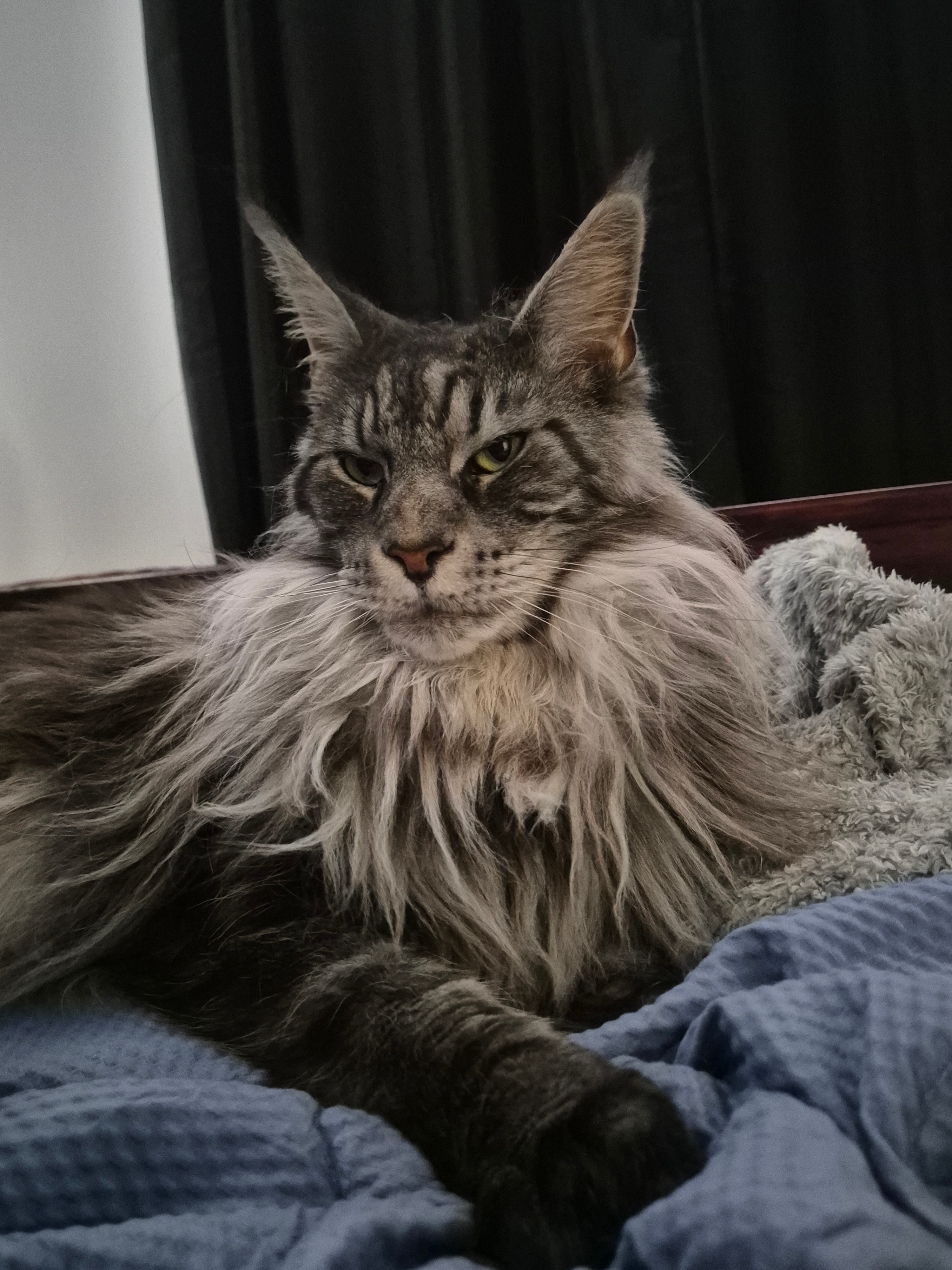 Frostie's Vet Bills campaign photo, 6 of 7