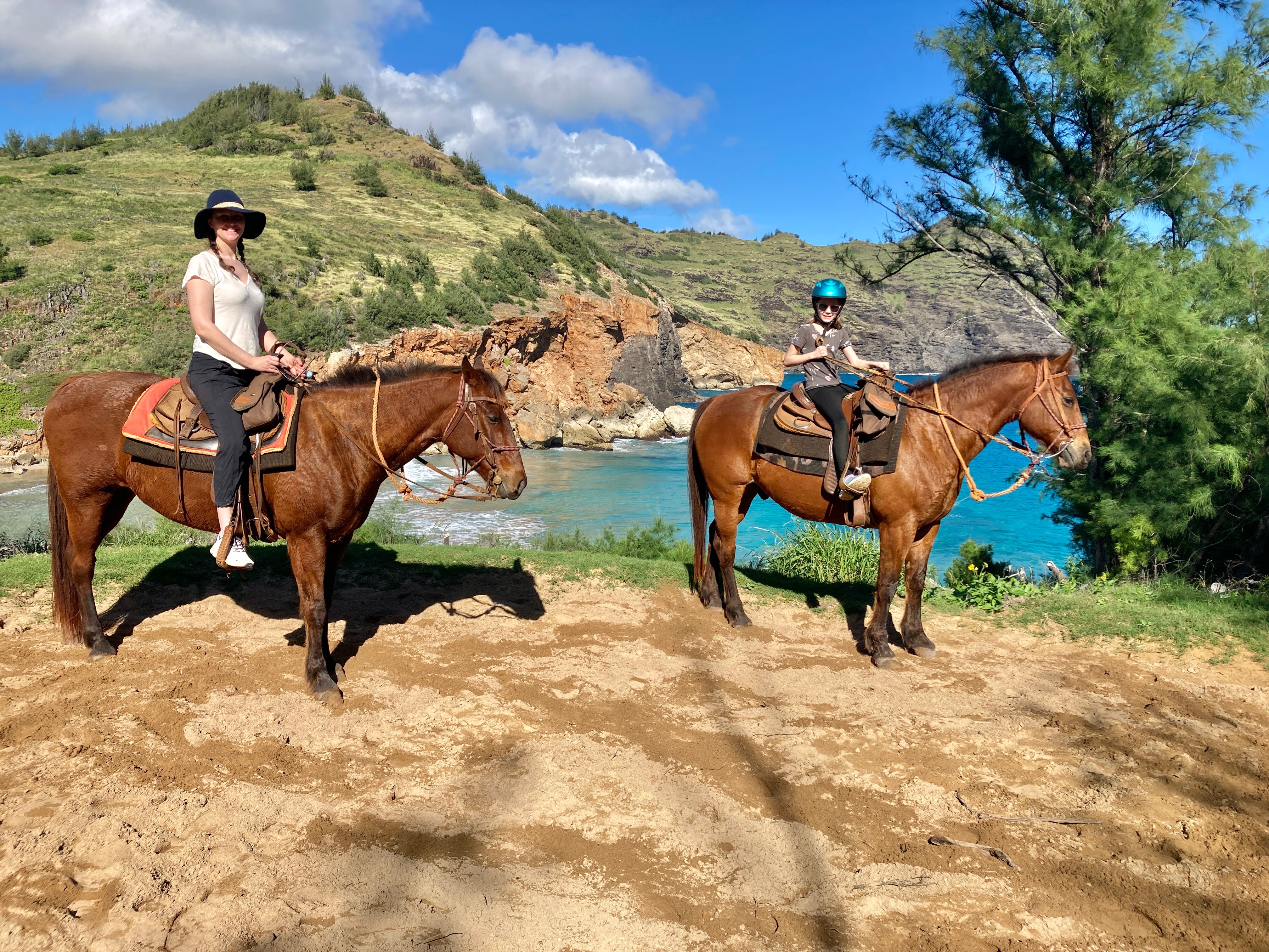 User-uploaded image 1