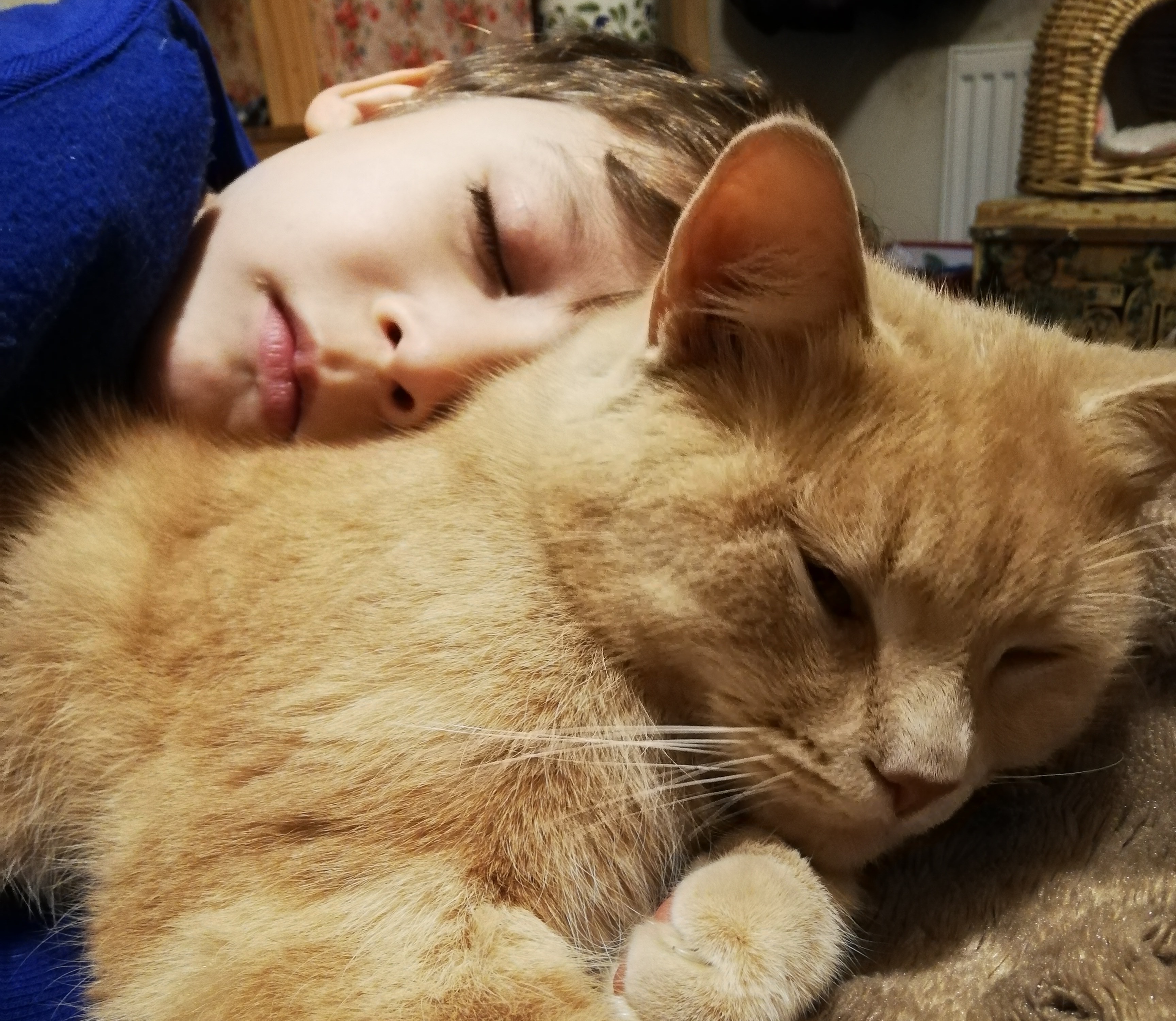 Harry’s Last Chance: MRI Could Save His Life ~ Please Help campaign photo, 6 of 7