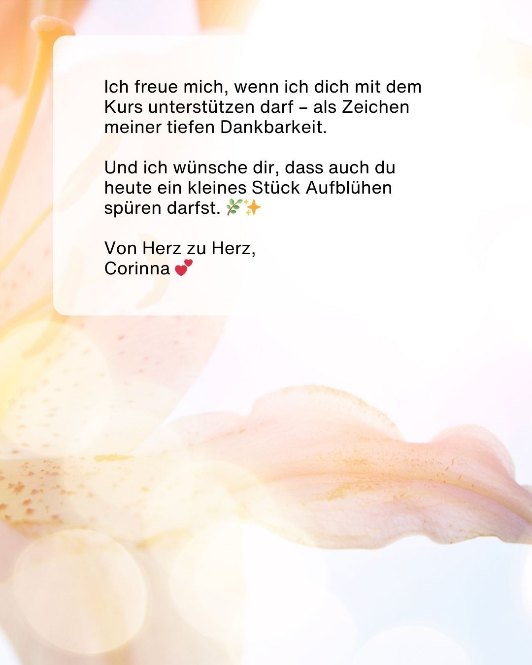 MS-Schub, Depression, Klinik – jetzt kämpfe ich um Heilung campaign photo, 5 of 7