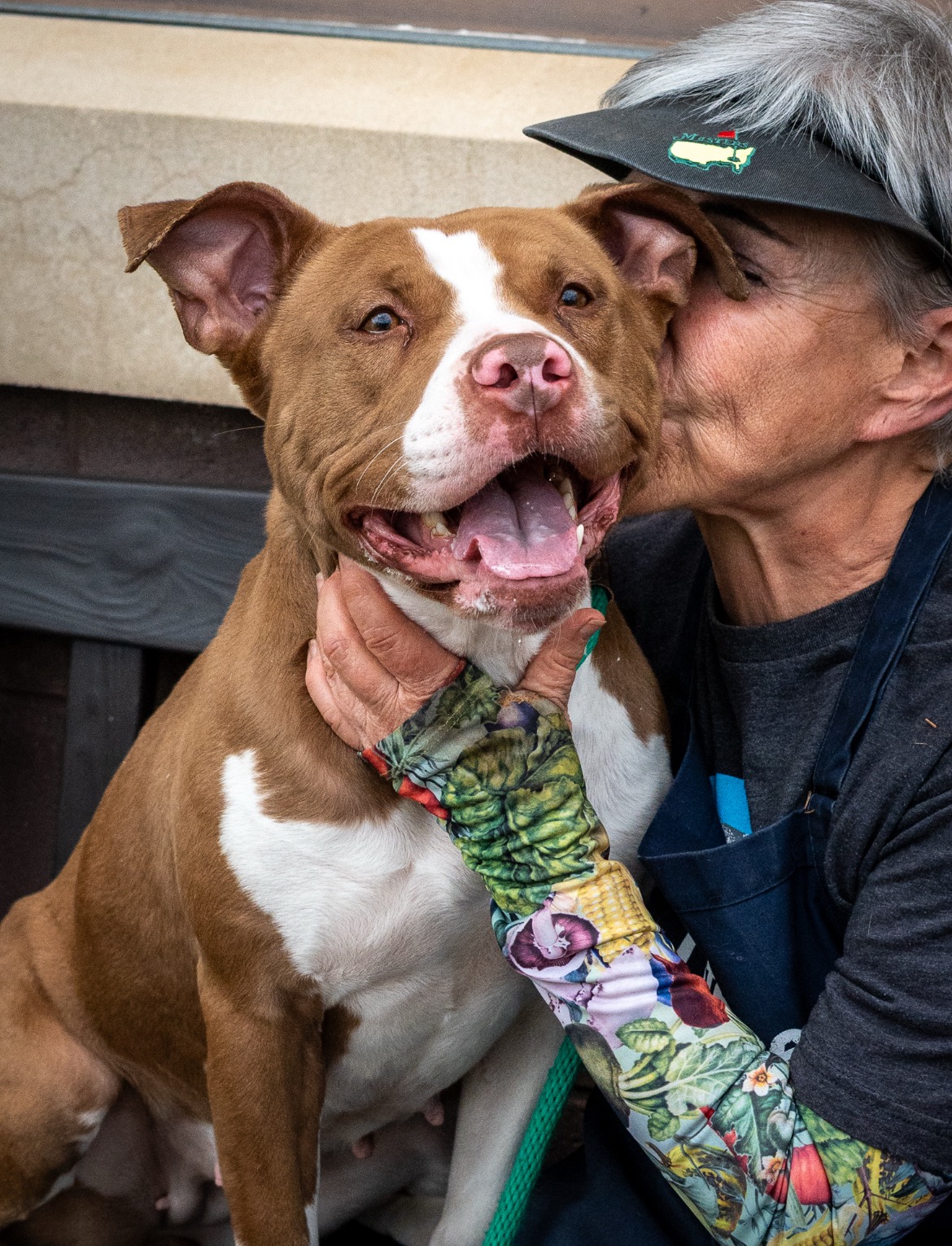 Help get Rainbow to her forever!! campaign photo, 2 of 4