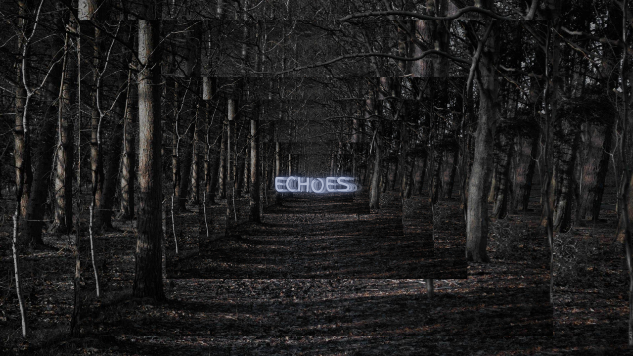 Help Bring Echoes to Life: Support Trysten's Film campaign photo, 4 of 6