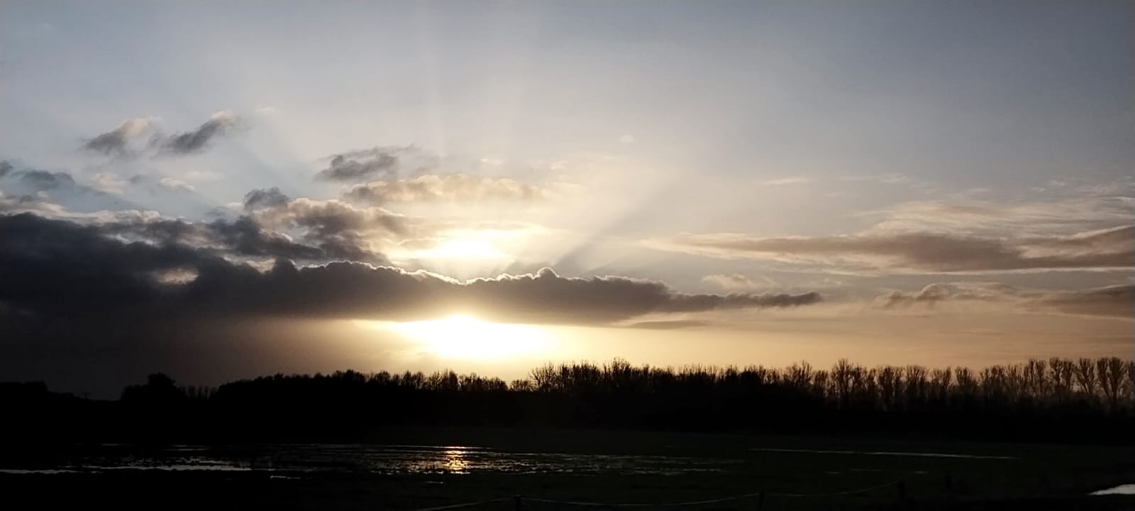 User-uploaded image 1