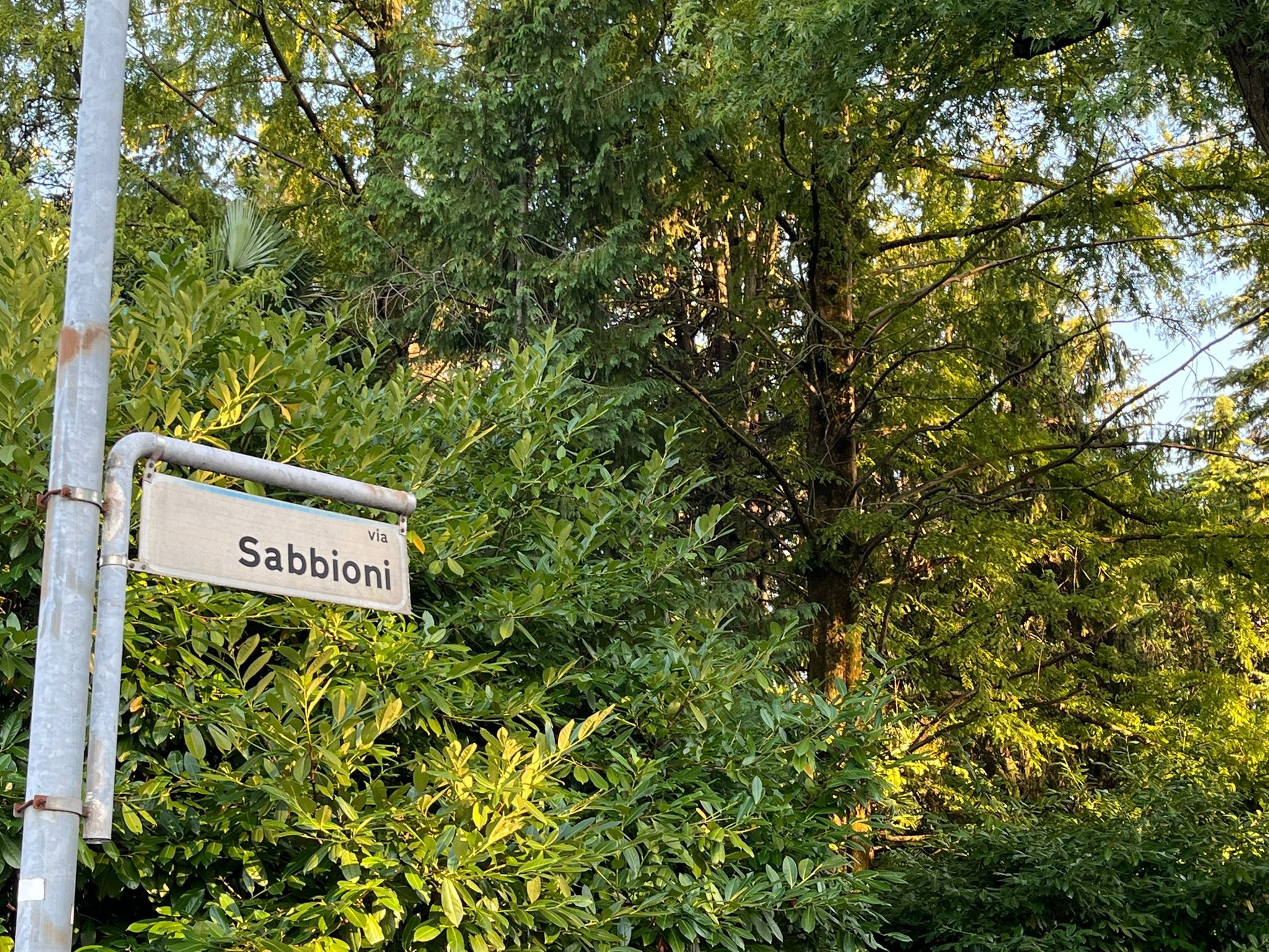 SPESE LEGALI DIFFIDA ALBERI VIA SABBIONI E VIA BARON campaign photo, 5 of 8