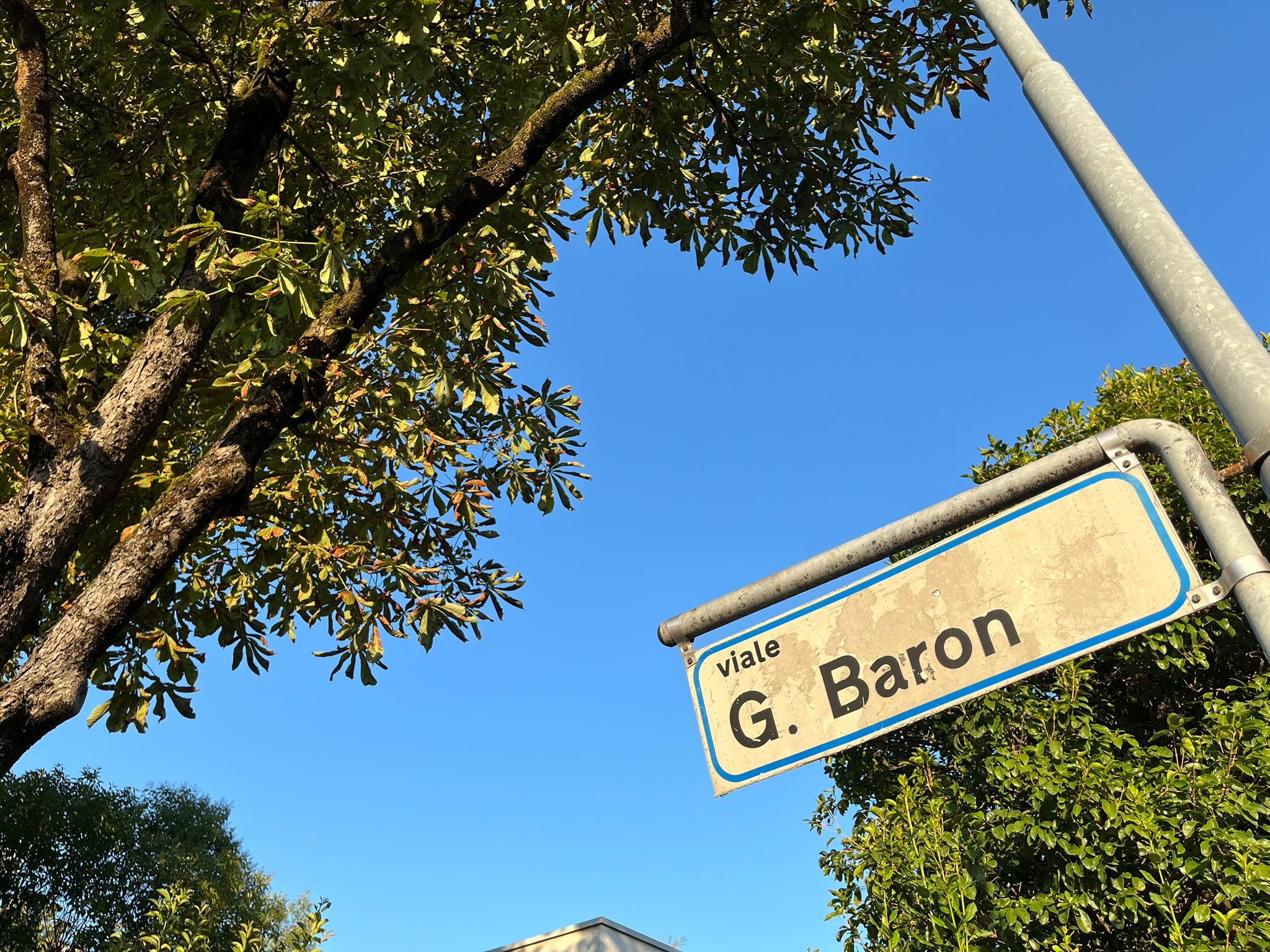 SPESE LEGALI DIFFIDA ALBERI VIA SABBIONI E VIA BARON campaign photo, 6 of 8