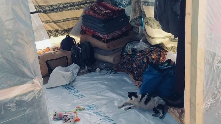 Help Support My Family in Gaza photo