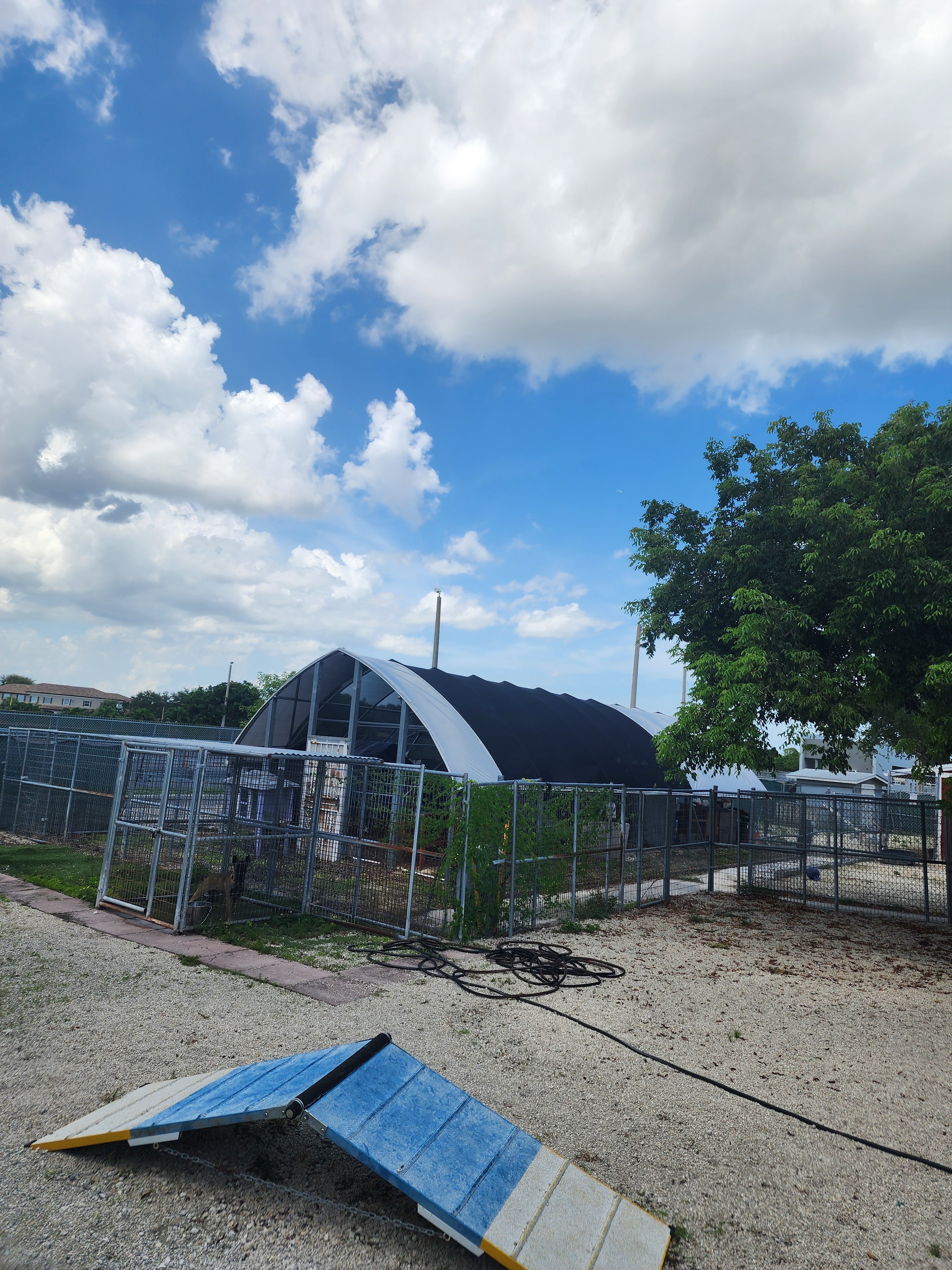 Support Danielle's Poultry Shelter Repair campaign photo, 4 of 7