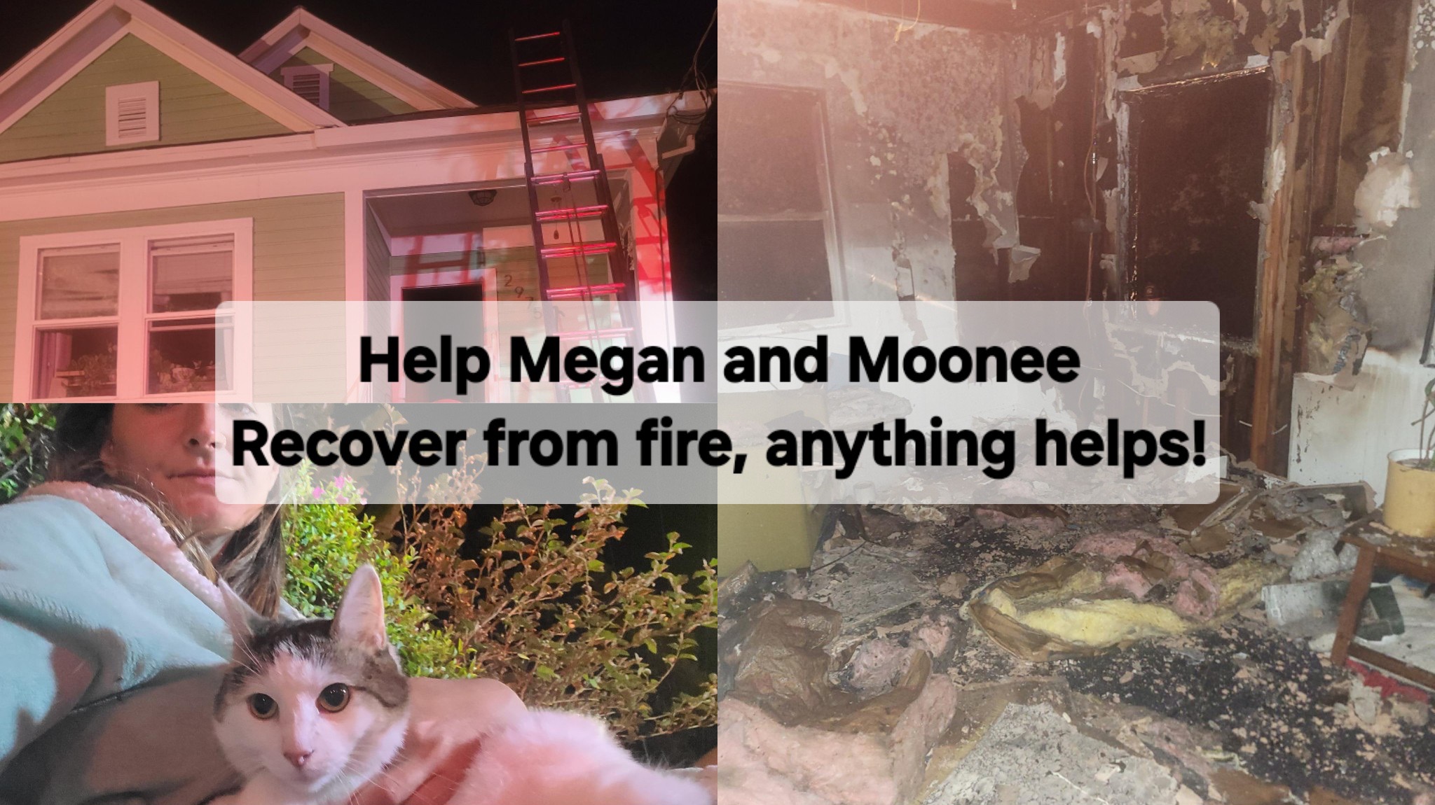 Megan & Moonee Safe, But Need Help campaign photo, 6 of 7