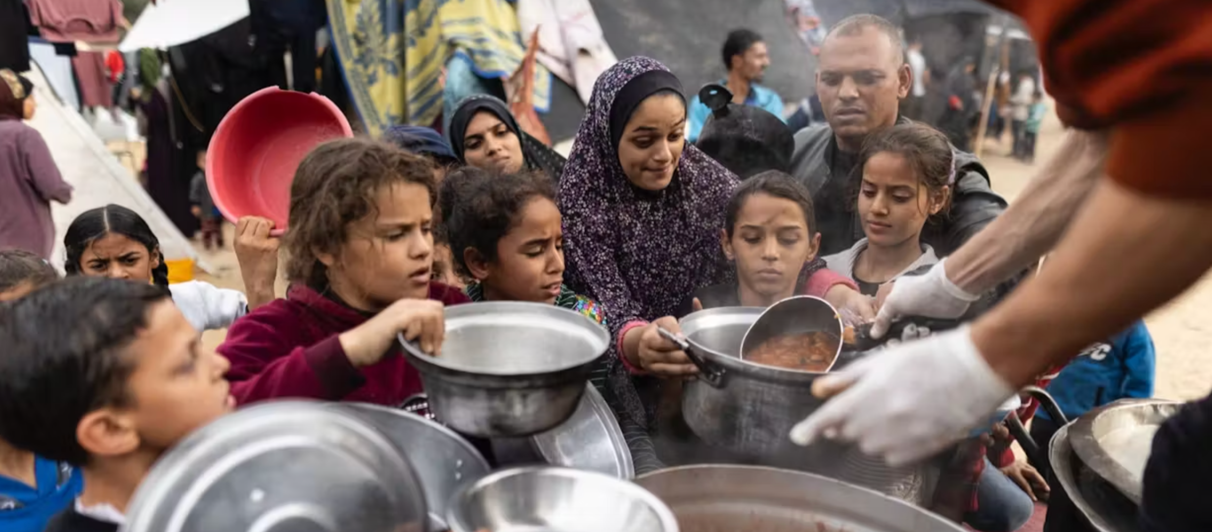 User-uploaded image 1