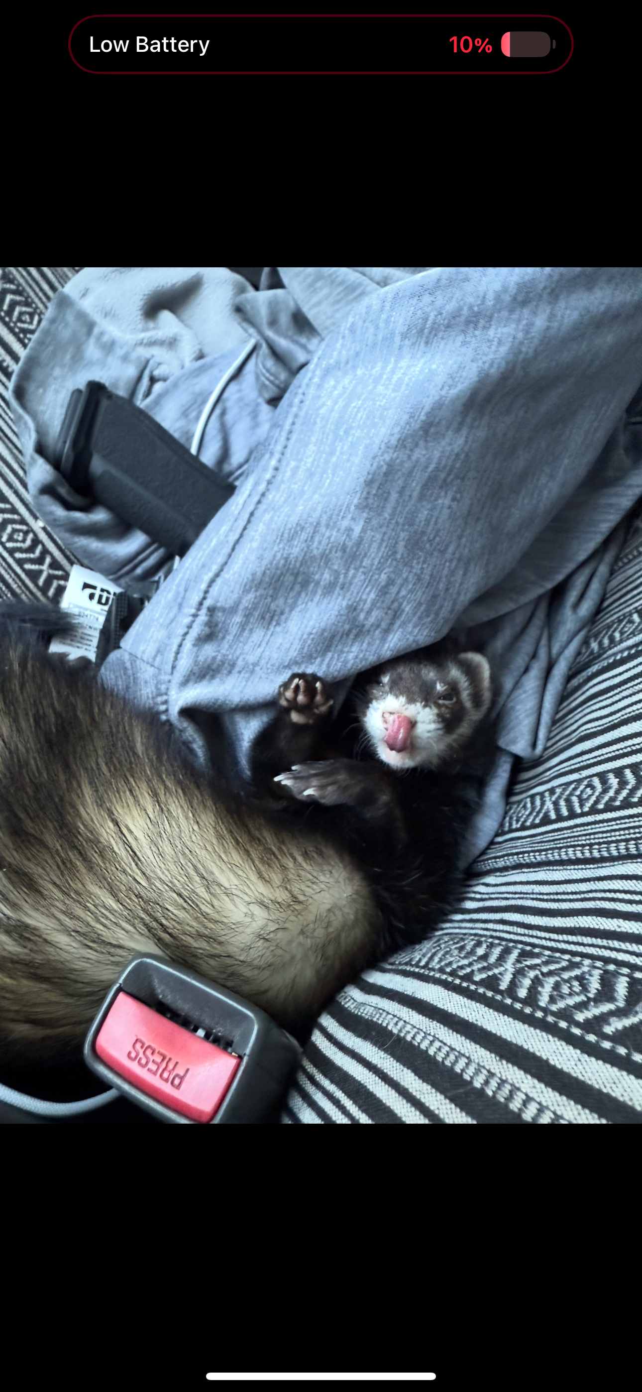 User-uploaded image 1