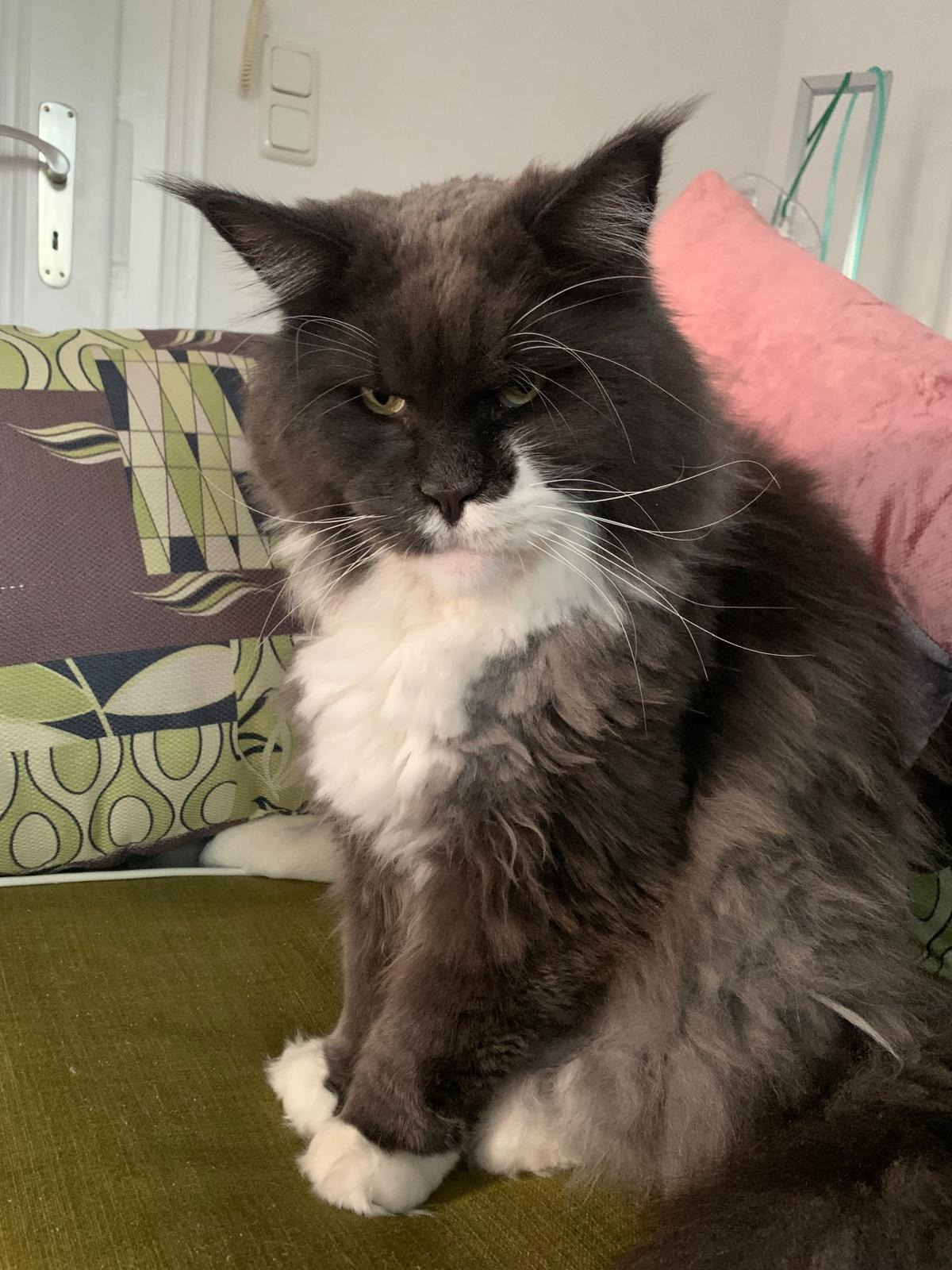 User-uploaded image 1