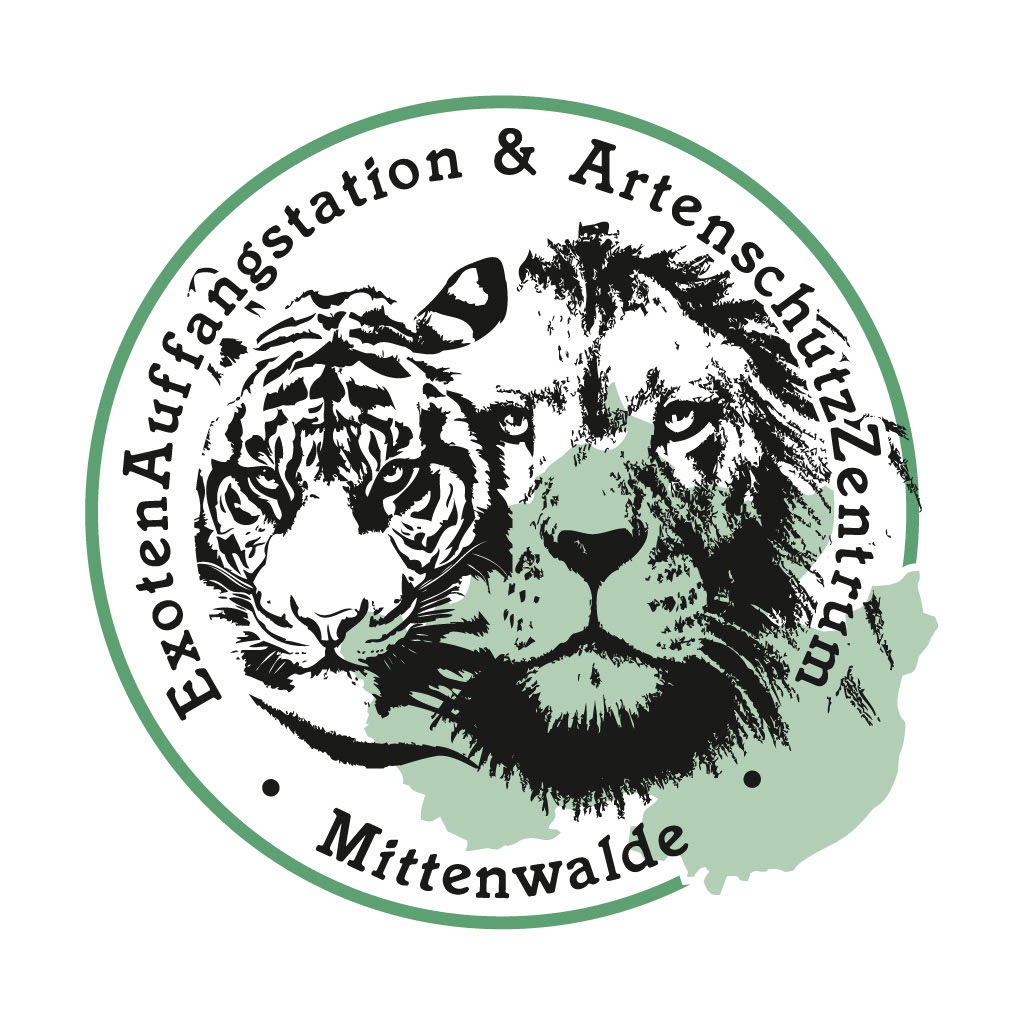 User-uploaded image 1