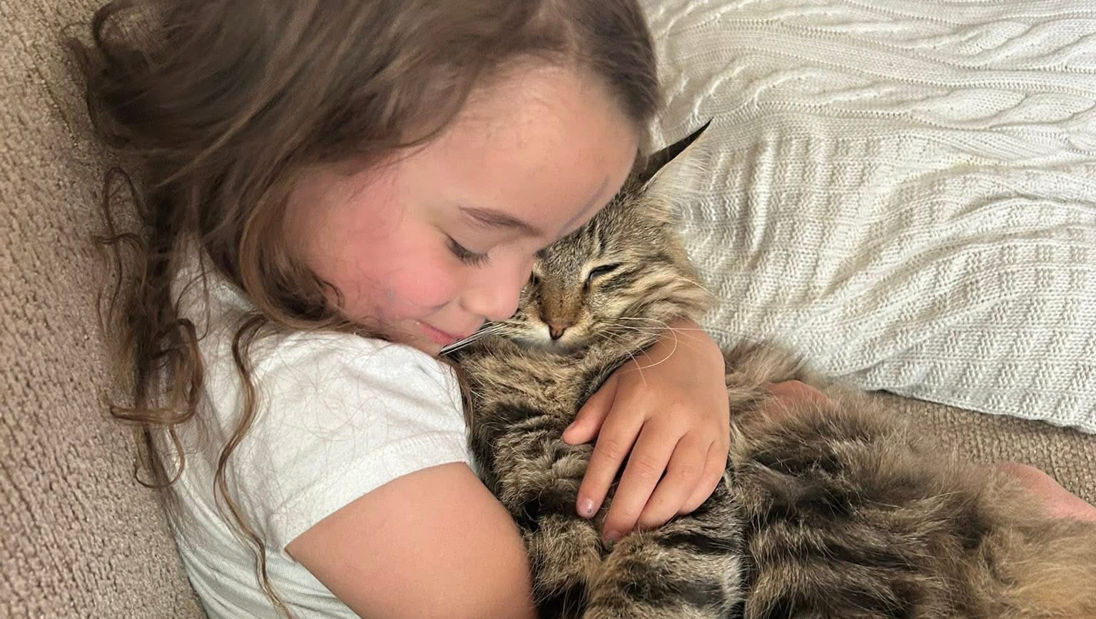 Support Gator's Emergency Vet Care photo