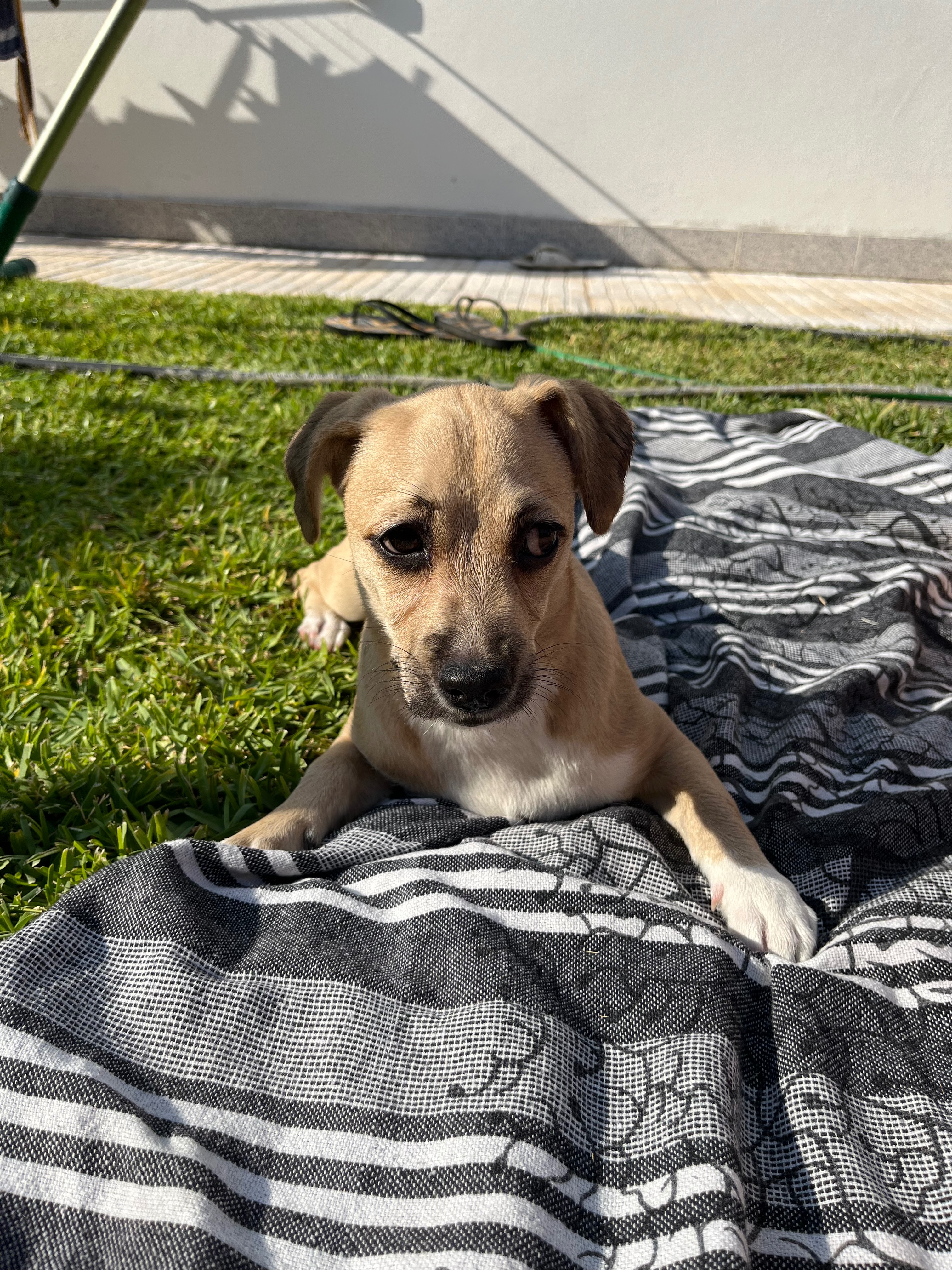 User-uploaded image 1