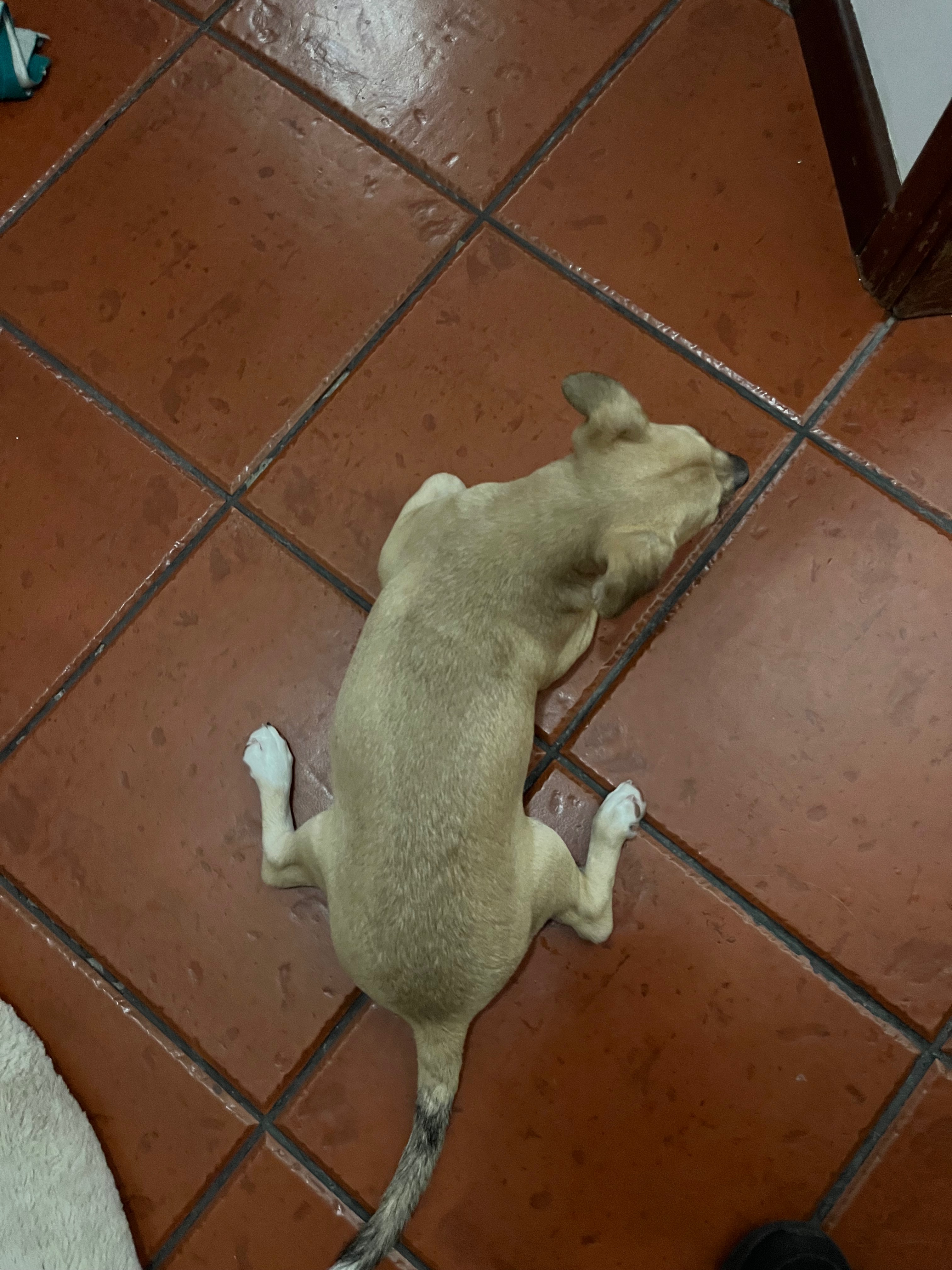 User-uploaded image 2