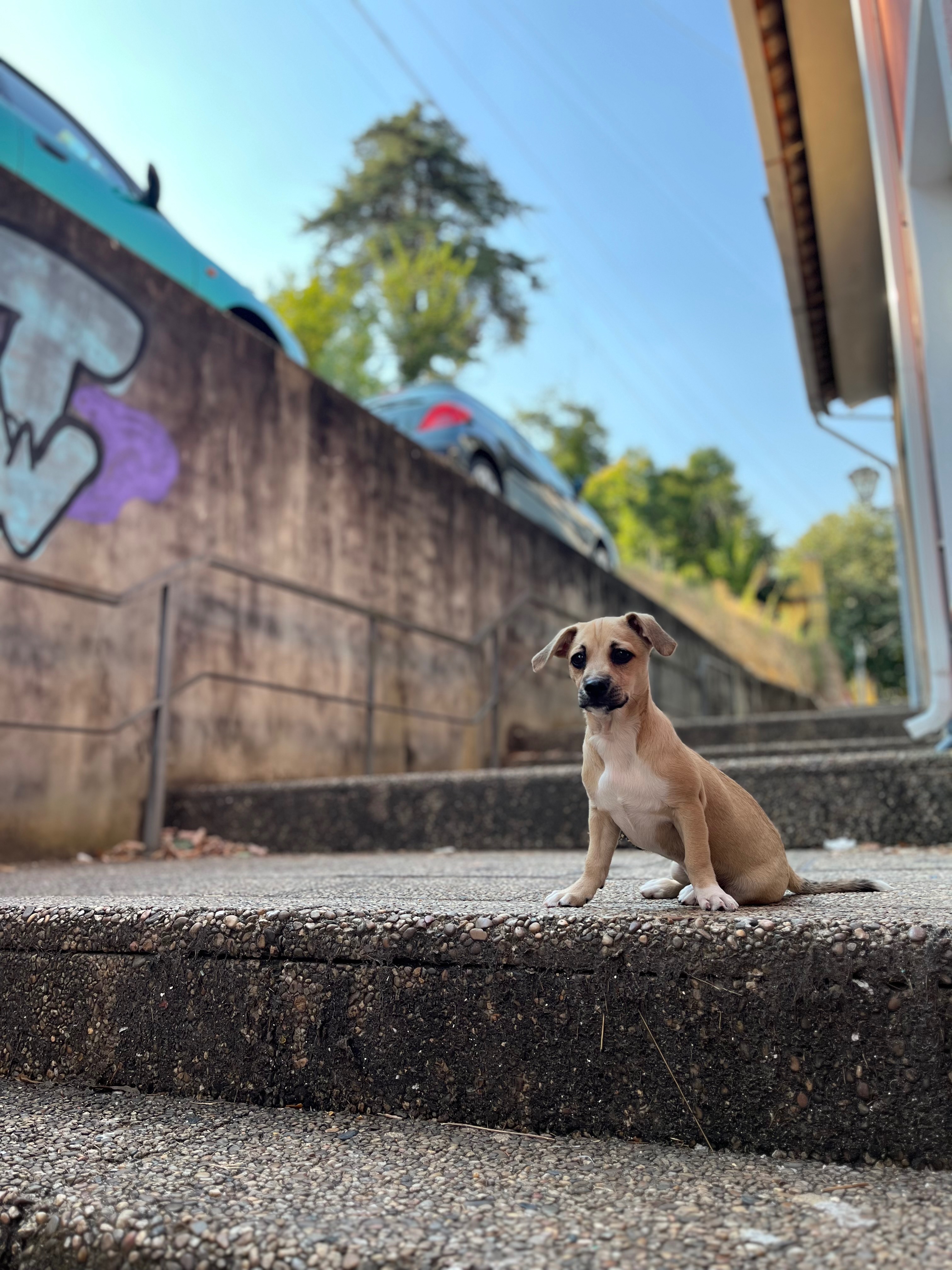 User-uploaded image 4