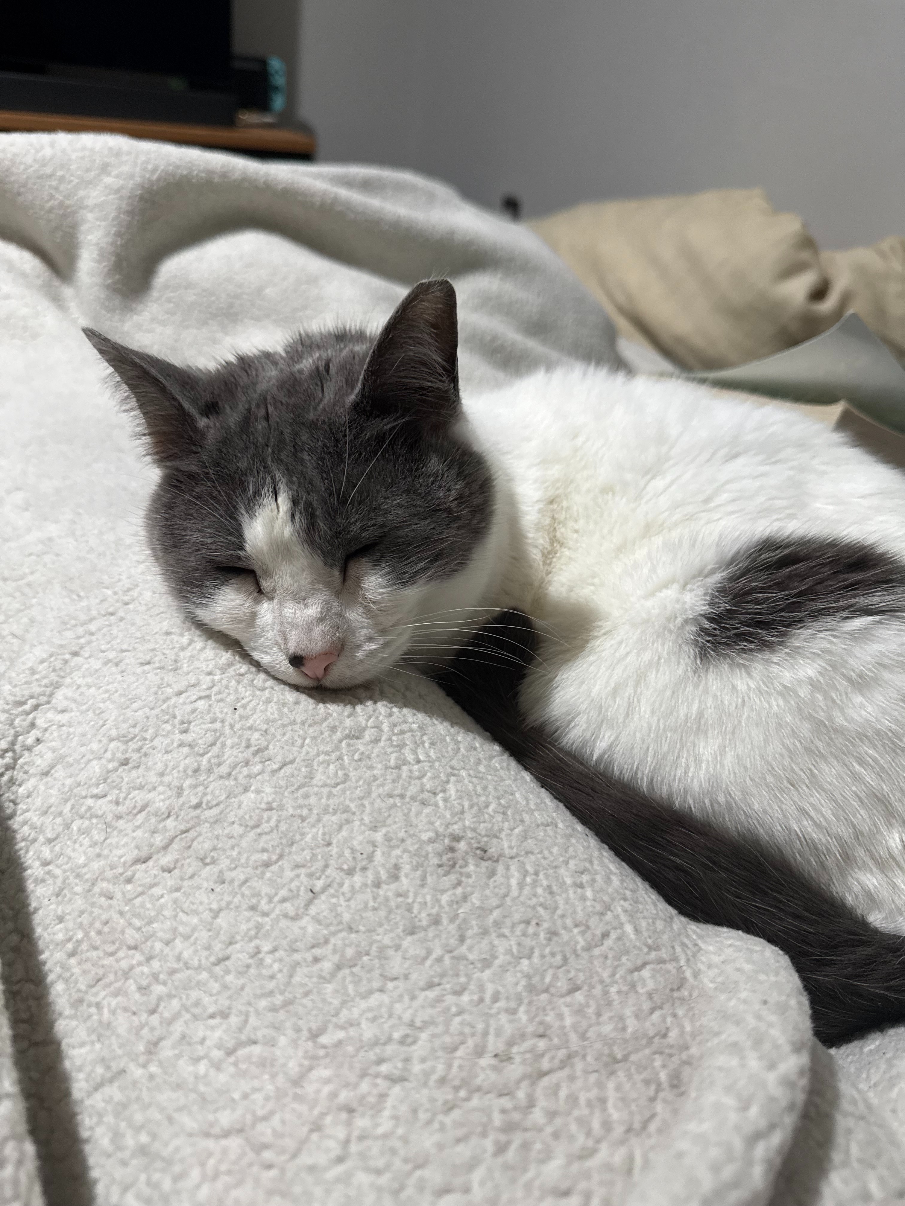 User-uploaded image 1