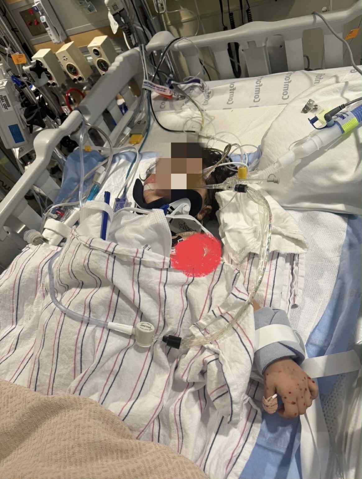 User-uploaded image 1