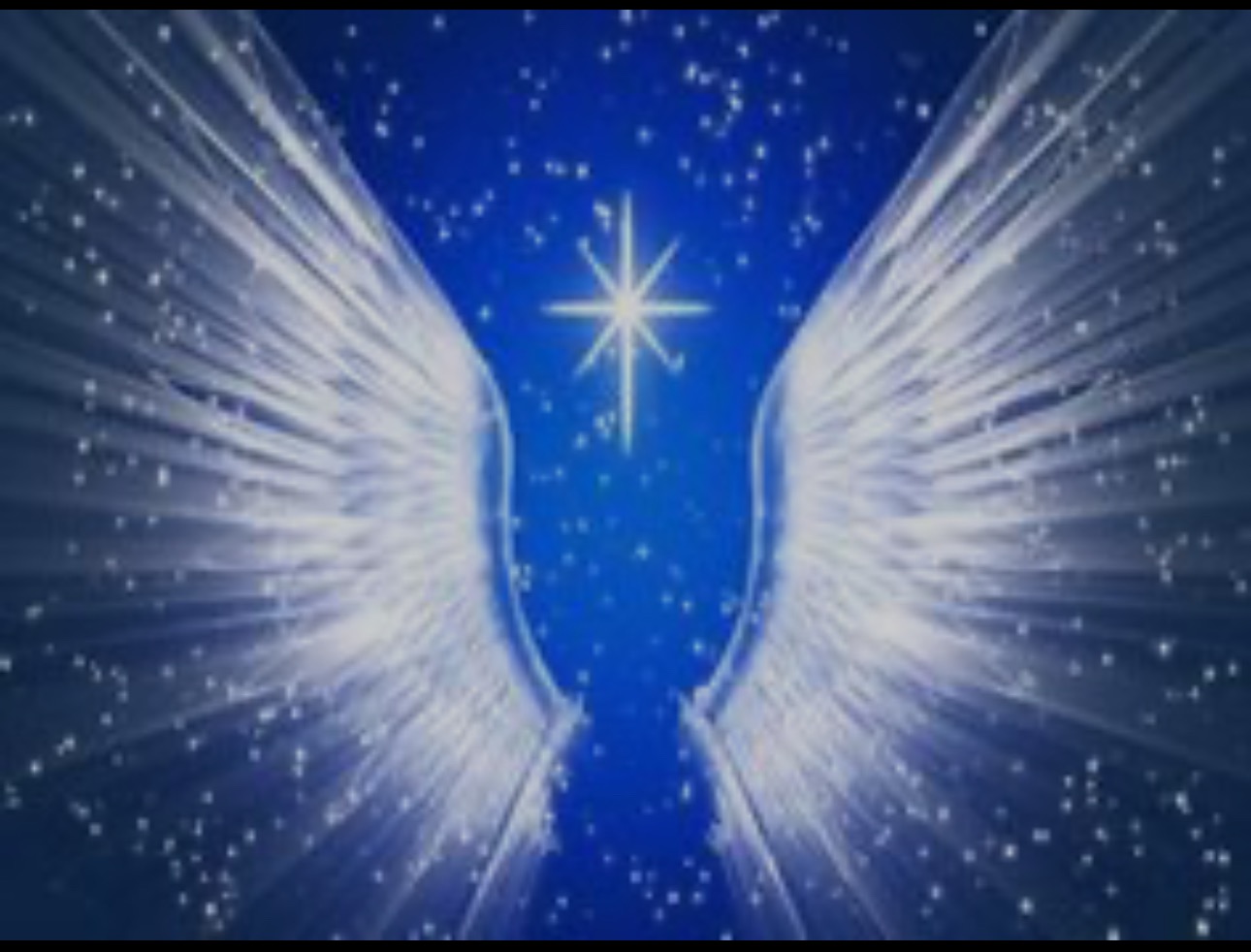 User-uploaded image 1