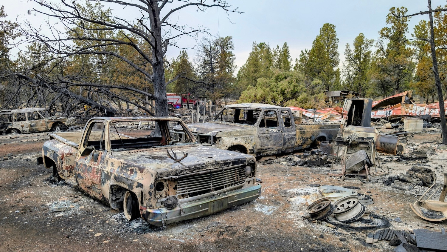 User-uploaded image 1