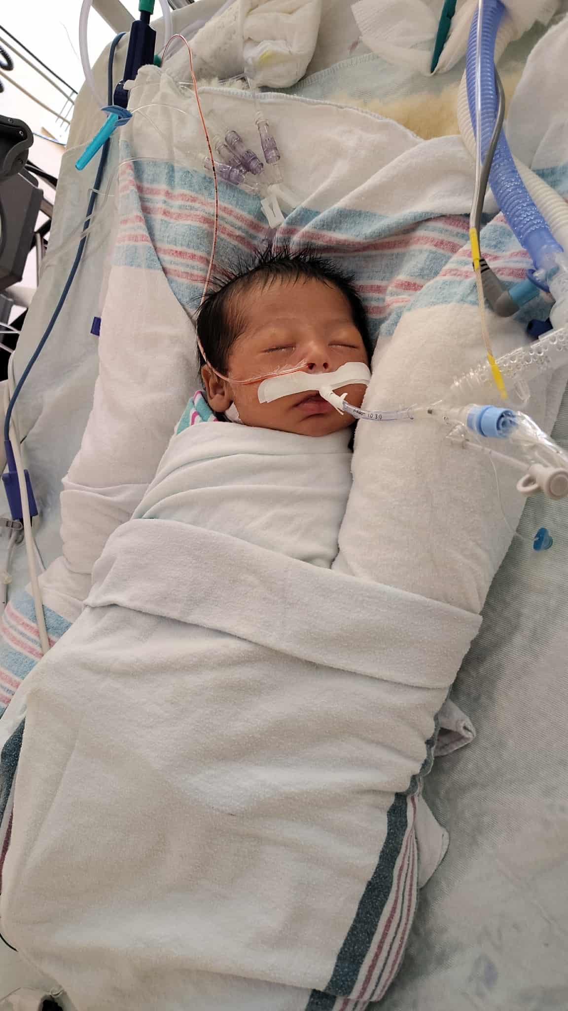 User-uploaded image 1