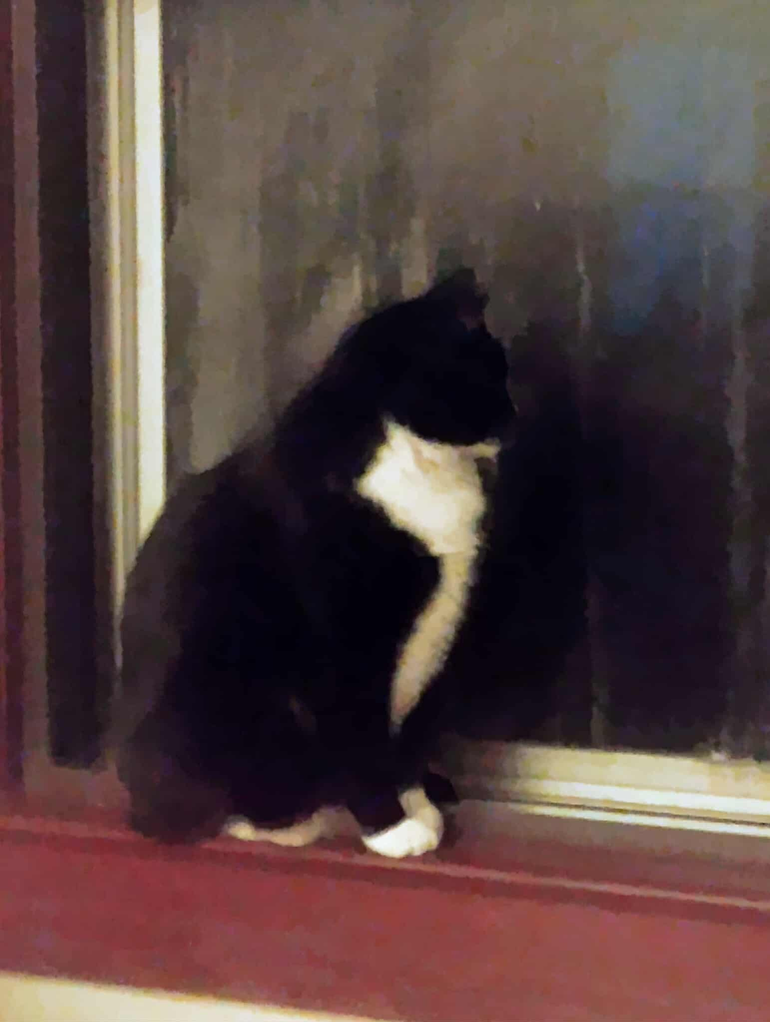 User-uploaded image 1