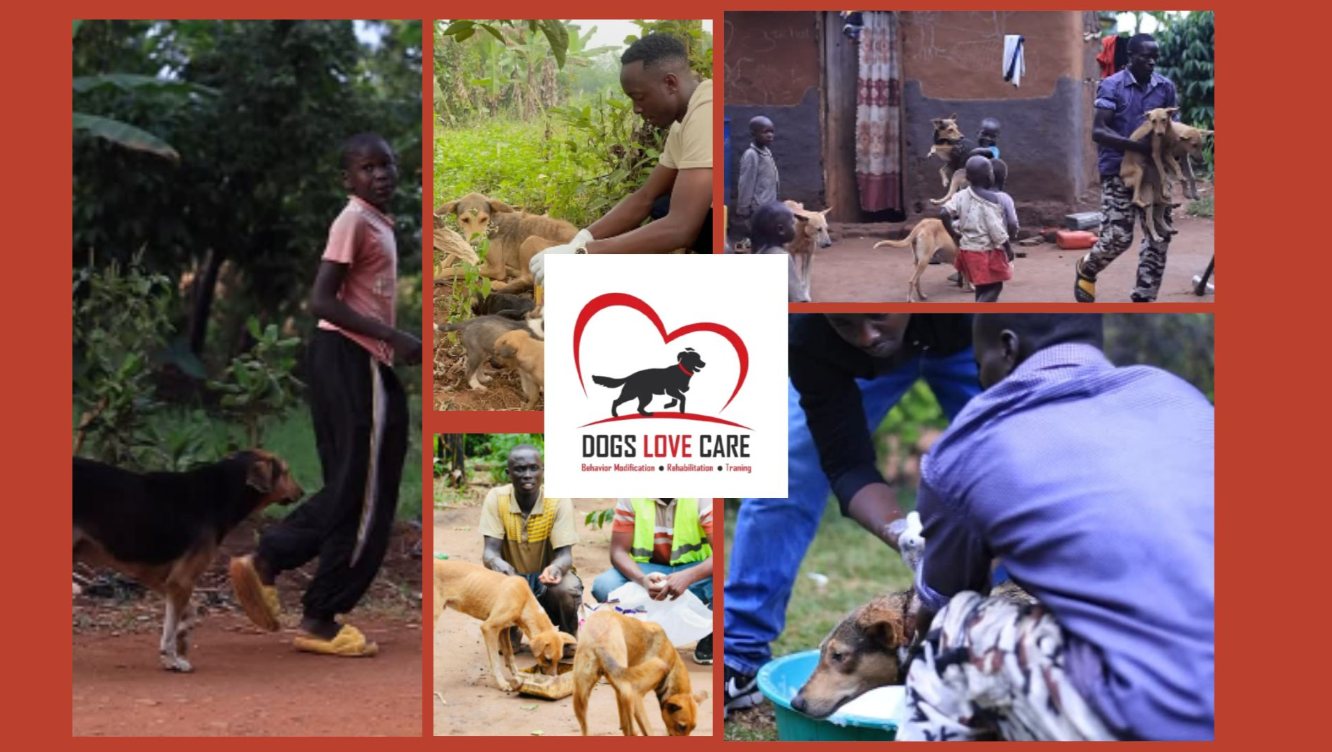 Help Us Save Paws & Childrens' Lives in Kayunga, Uganda photo