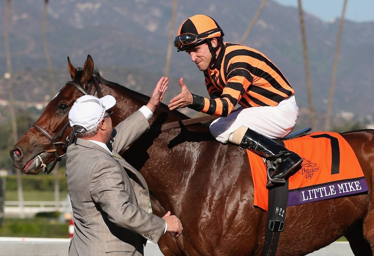 User-uploaded image 1