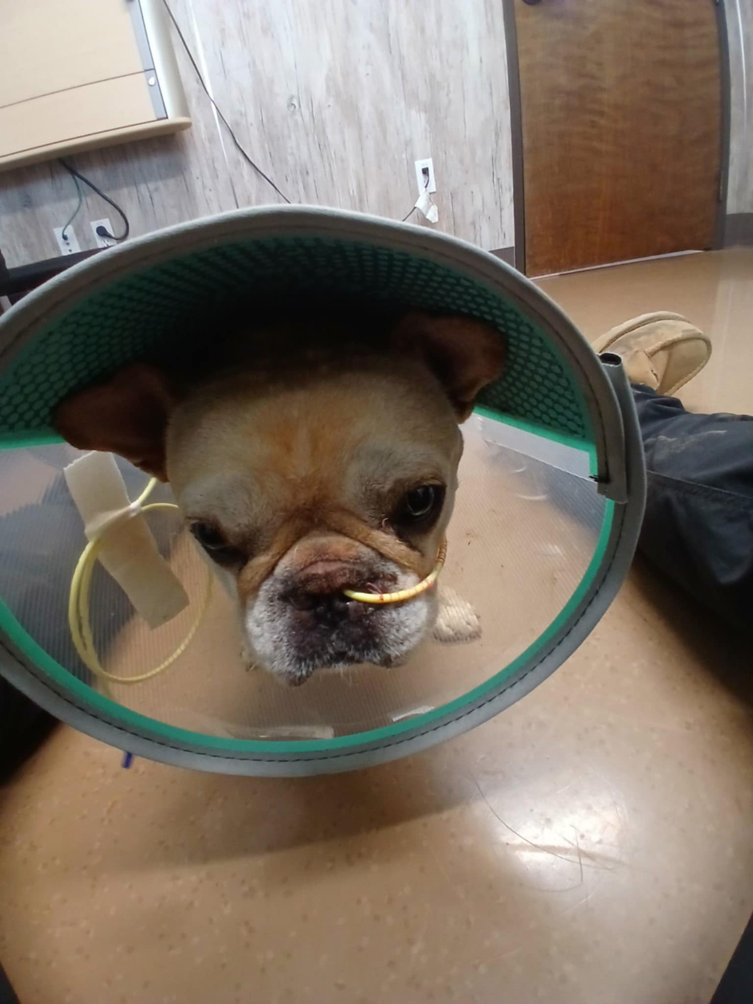 User-uploaded image 1