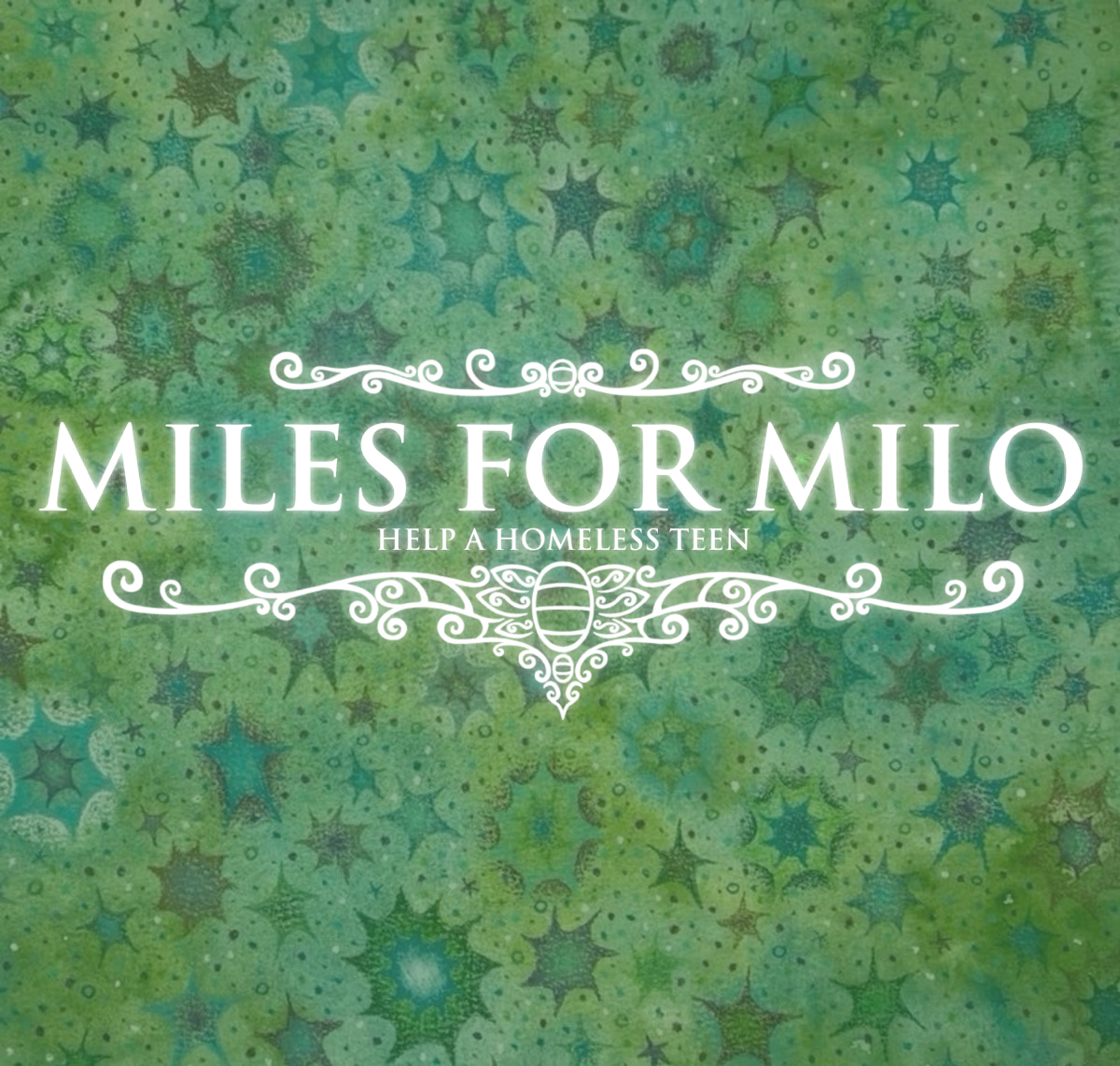 Miles for Milo (help a homeless teen) campaign photo, 6 of 7