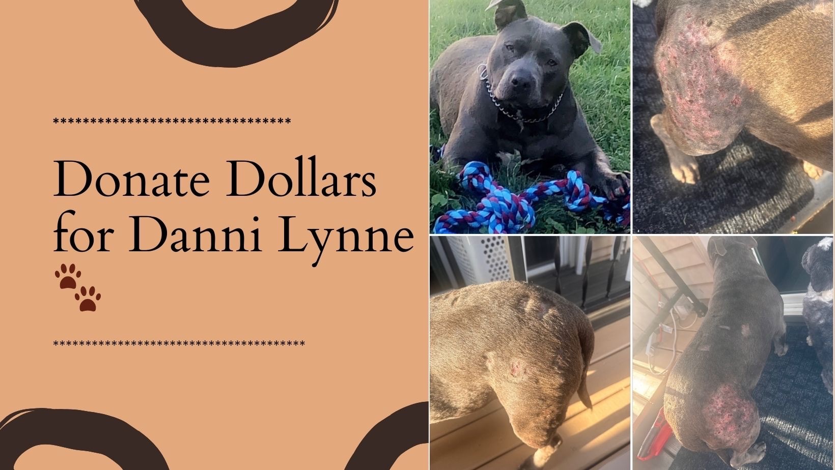 User-uploaded image 1