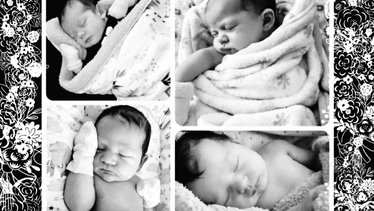 Support a Family's Fight for Financial Justice photo