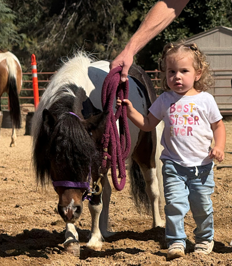Save Miracle: Urgent Colic Surgery Fund campaign photo, 4 of 6