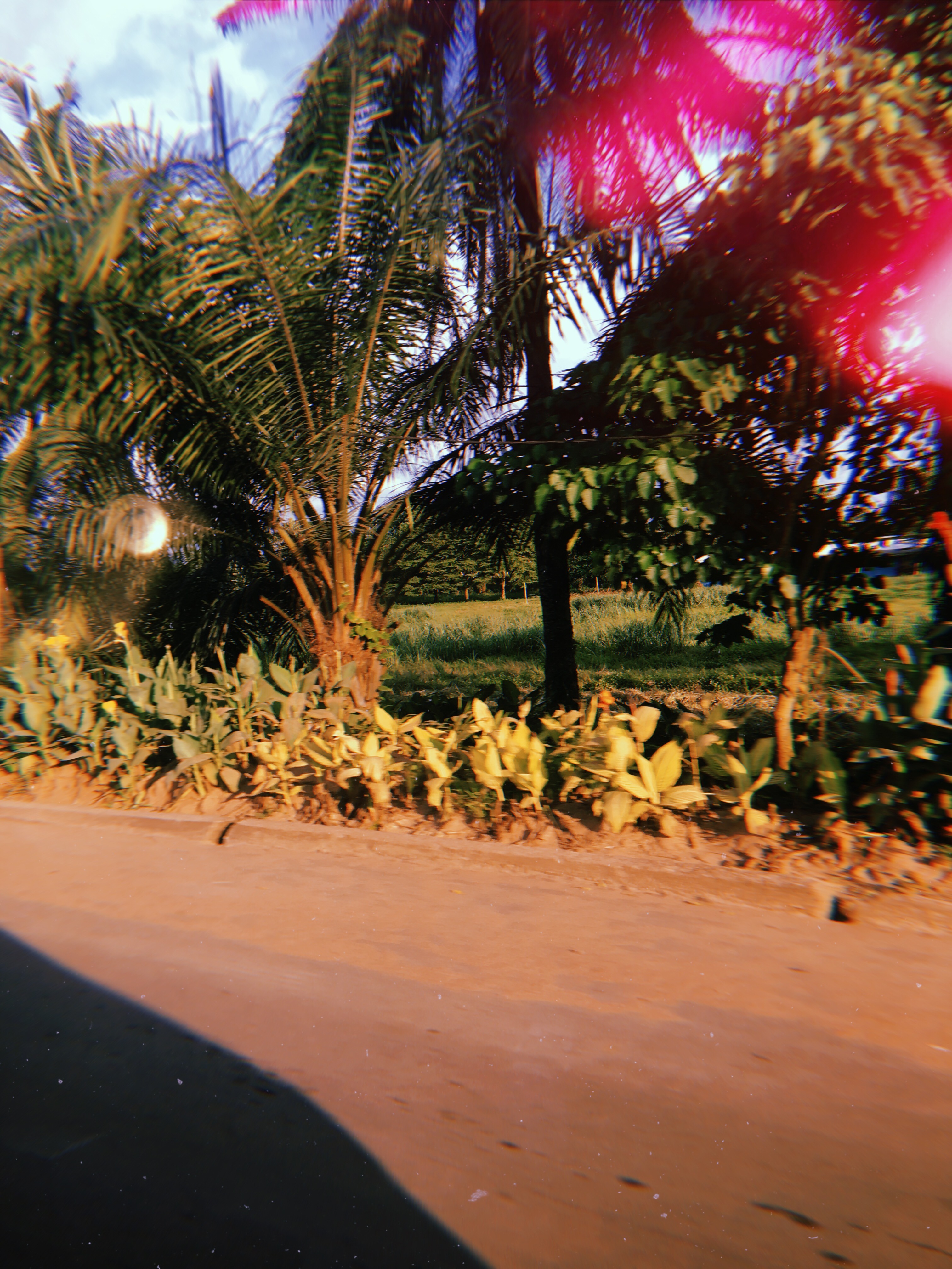 User-uploaded image 1