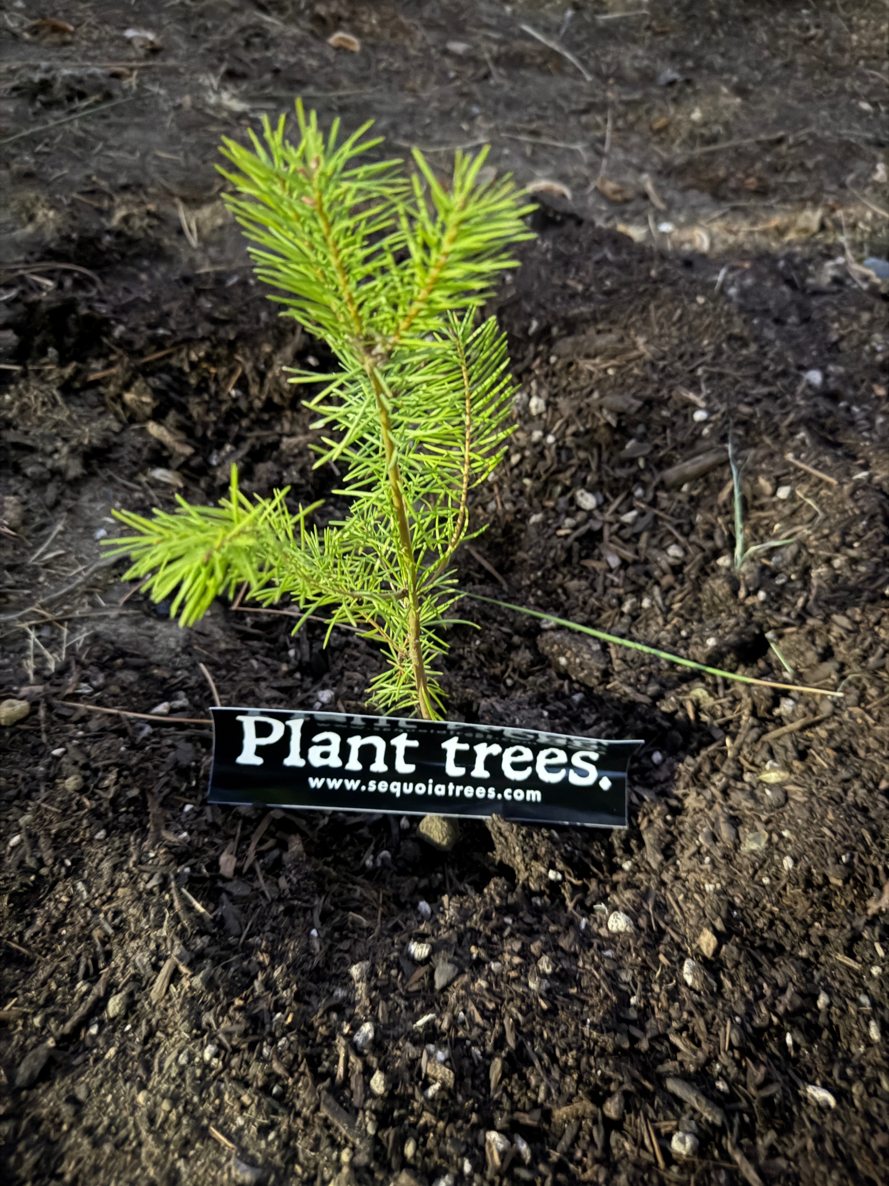 User-uploaded image 1