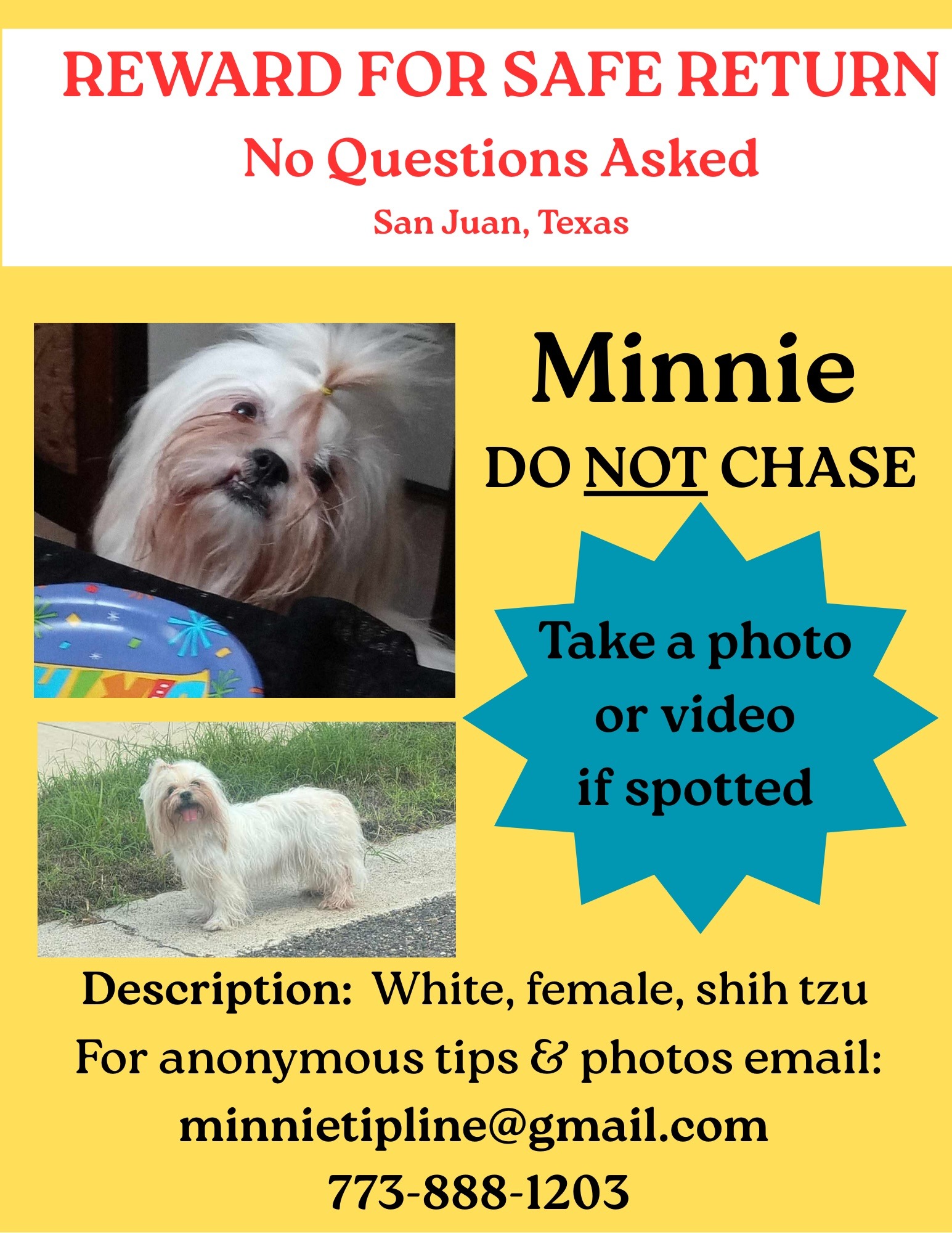 Help Bring Minnie Home campaign photo, 2 of 5