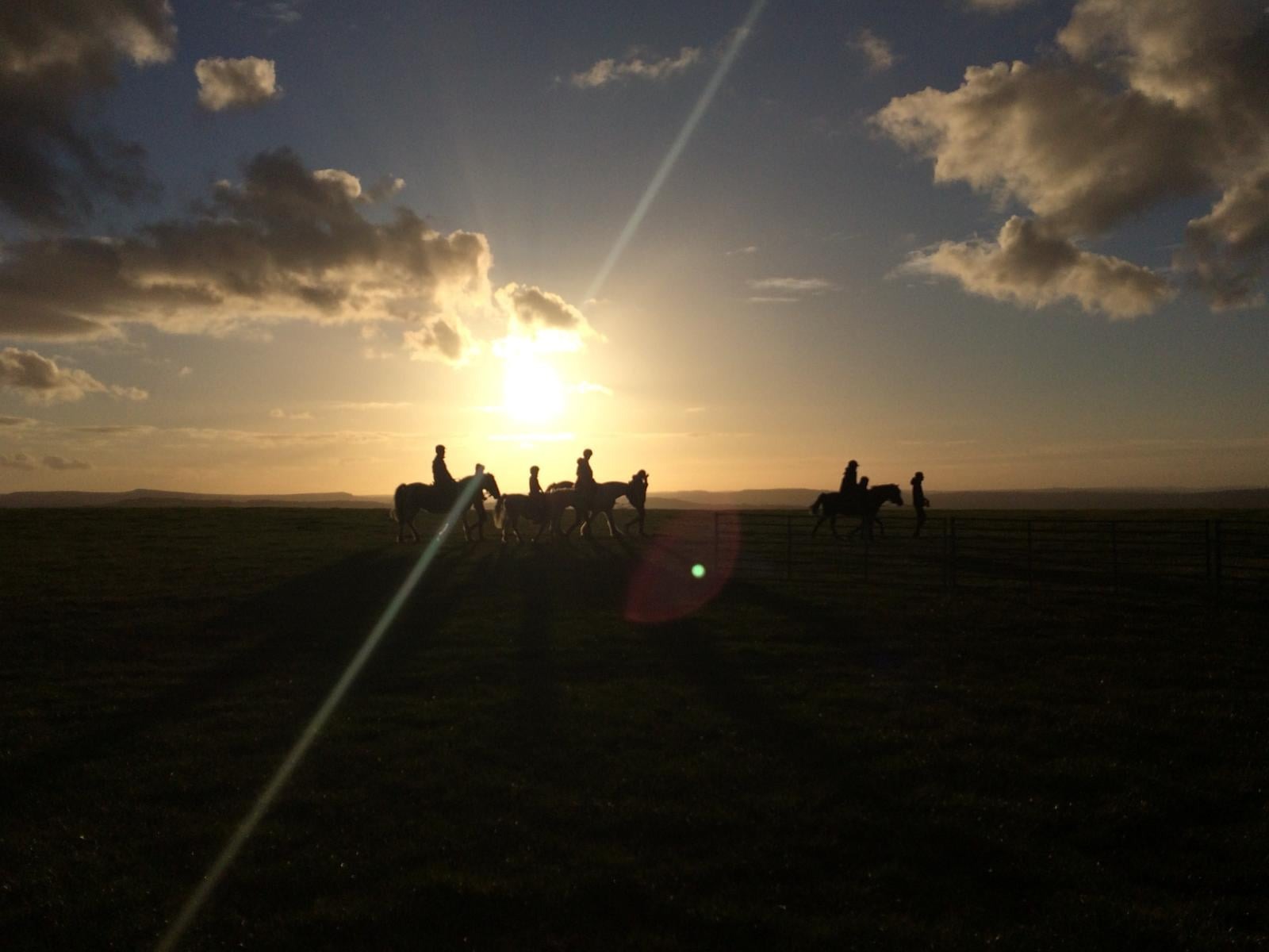 User-uploaded image 1