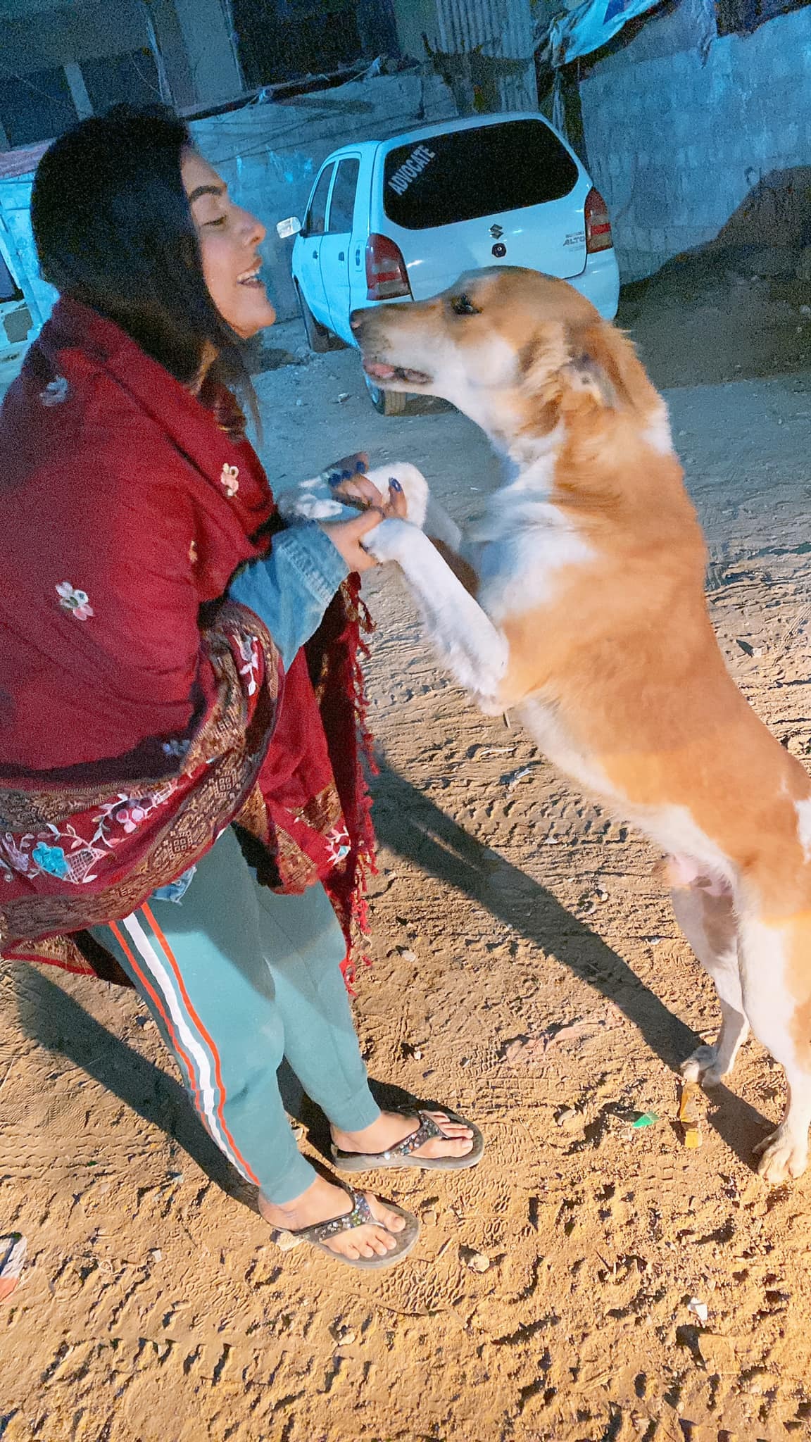 Support Our Home Sanctuary for 70 Plus Dogs & Cats campaign photo, 6 of 8