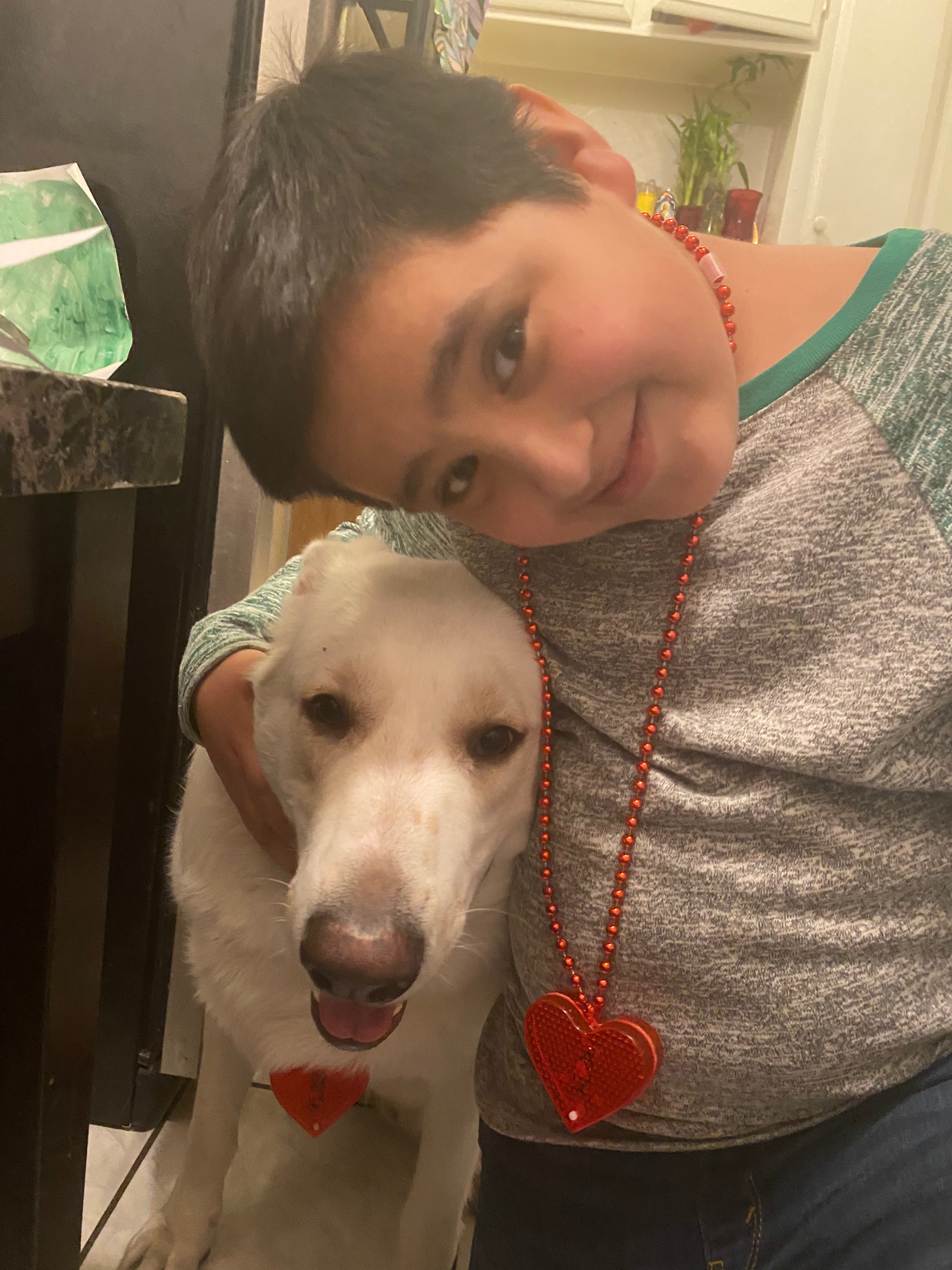 User-uploaded image 1