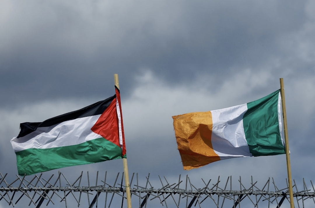 User-uploaded image 1