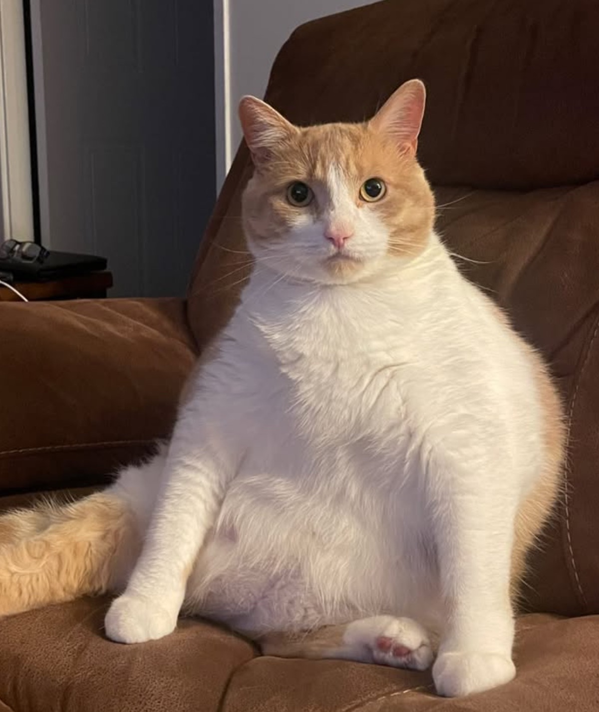 User-uploaded image 1